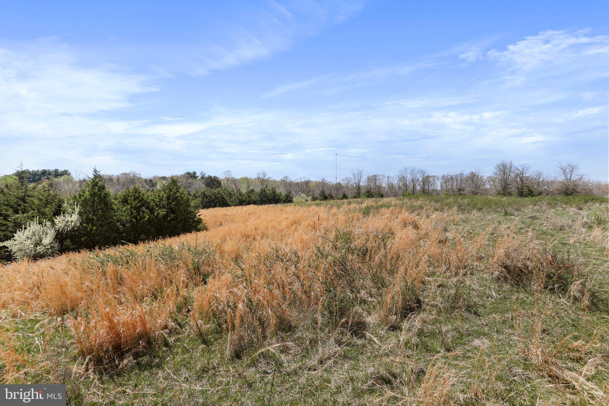 CROOKED RUN - Commercial Sale