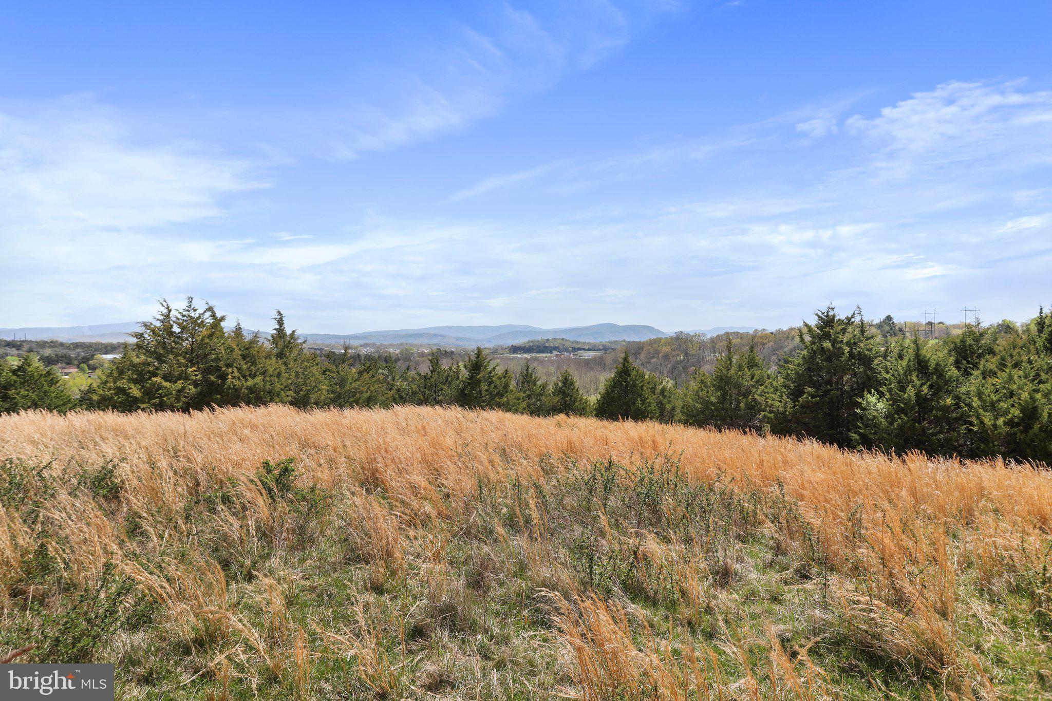 CROOKED RUN - Commercial Sale