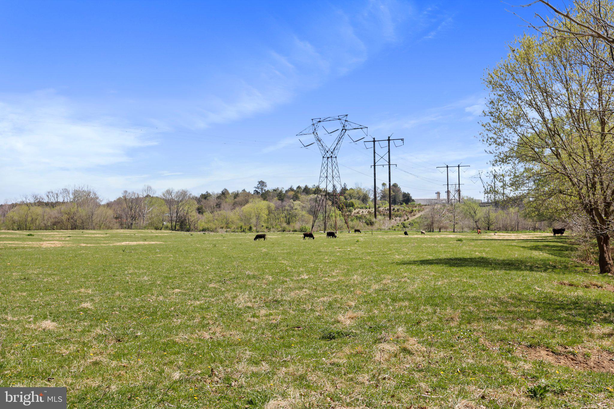 CROOKED RUN - Commercial Sale