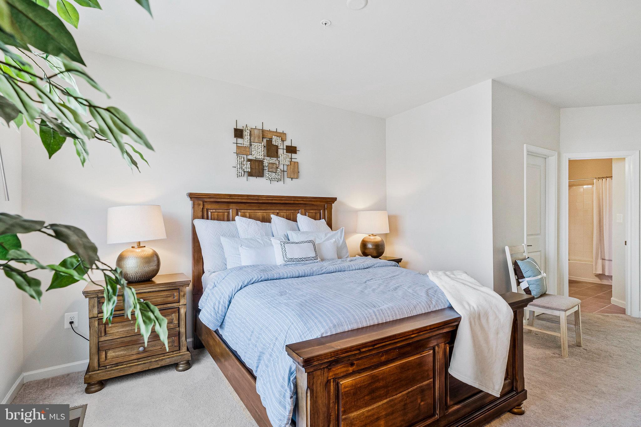 RIDGES AT LOUDOUN VALLEY - Residential