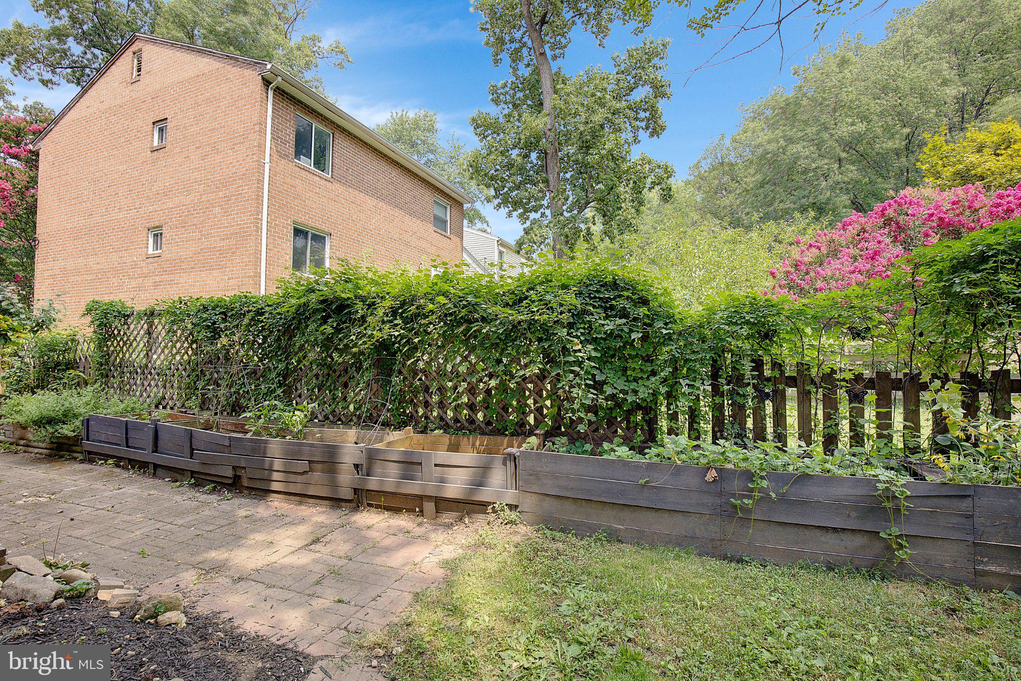 TAKOMA PARK - Residential