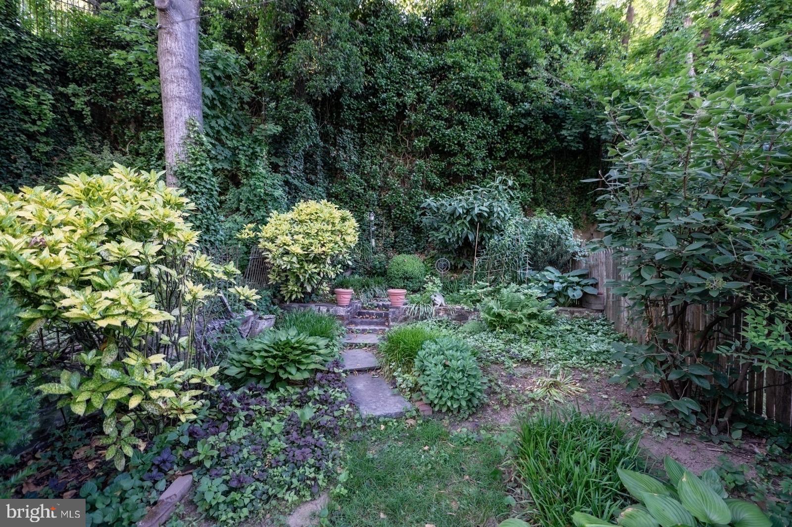 EAST FALLS - Residential
