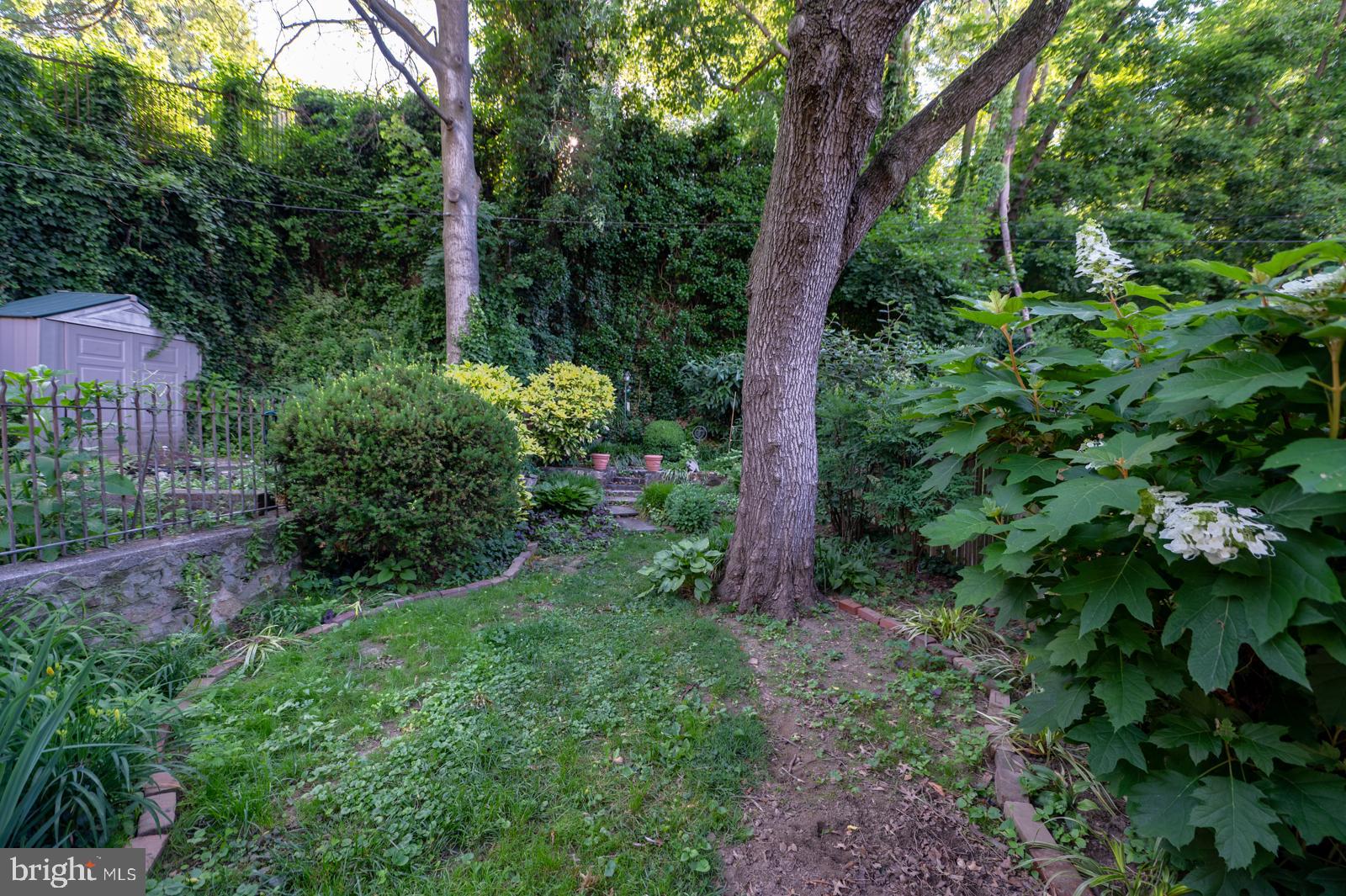 EAST FALLS - Residential