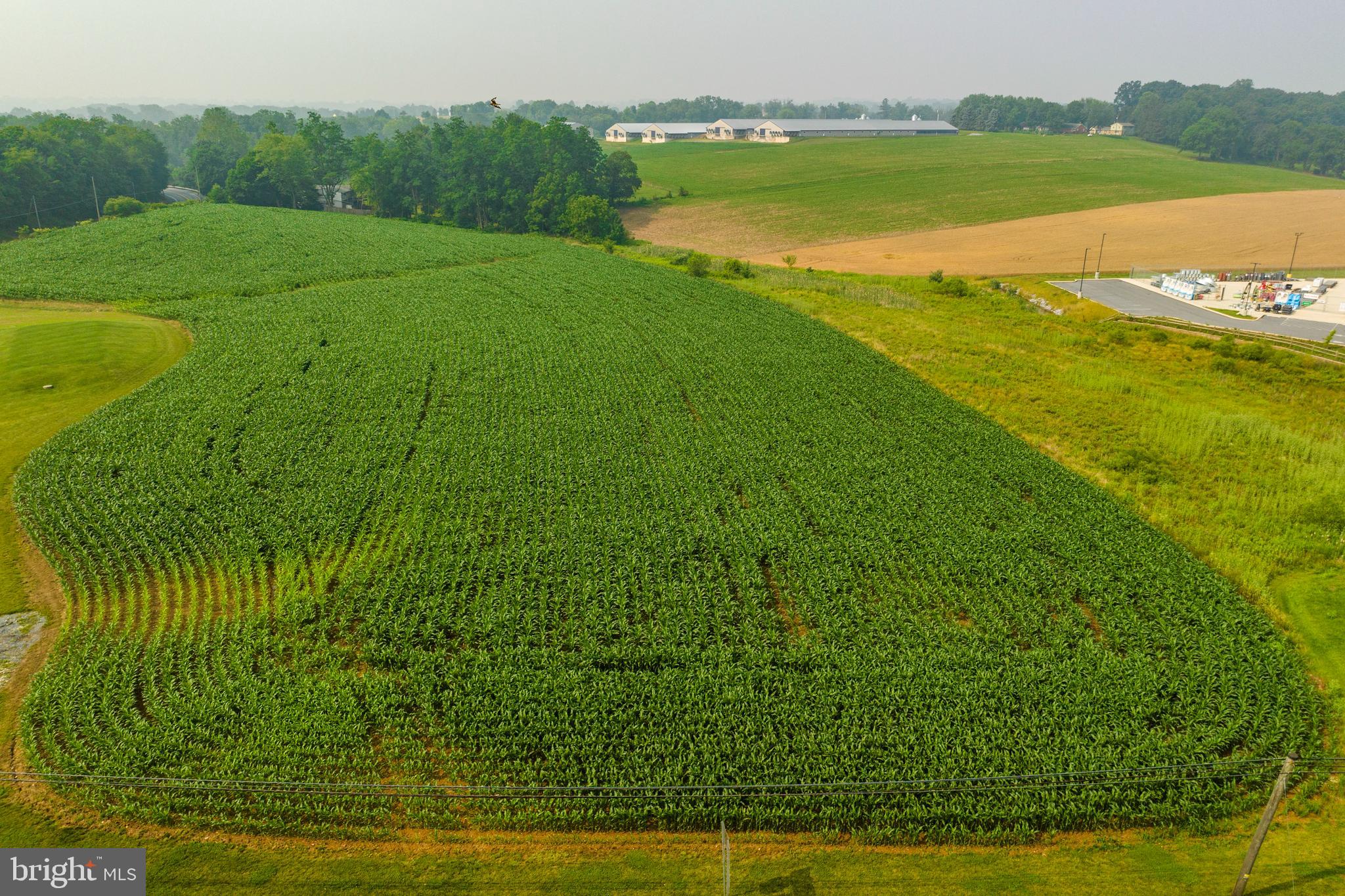 ELIZABETH TWP - Commercial Sale