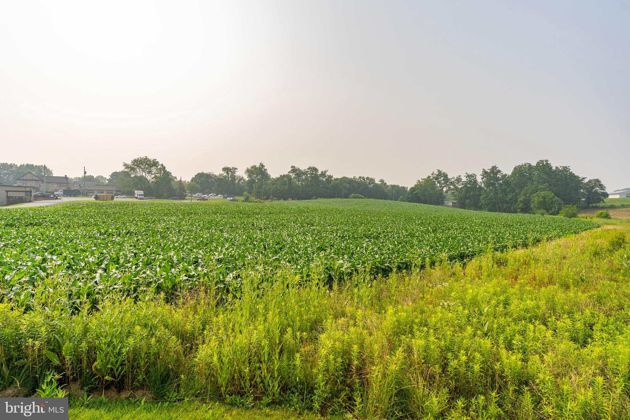 ELIZABETH TWP - Commercial Sale