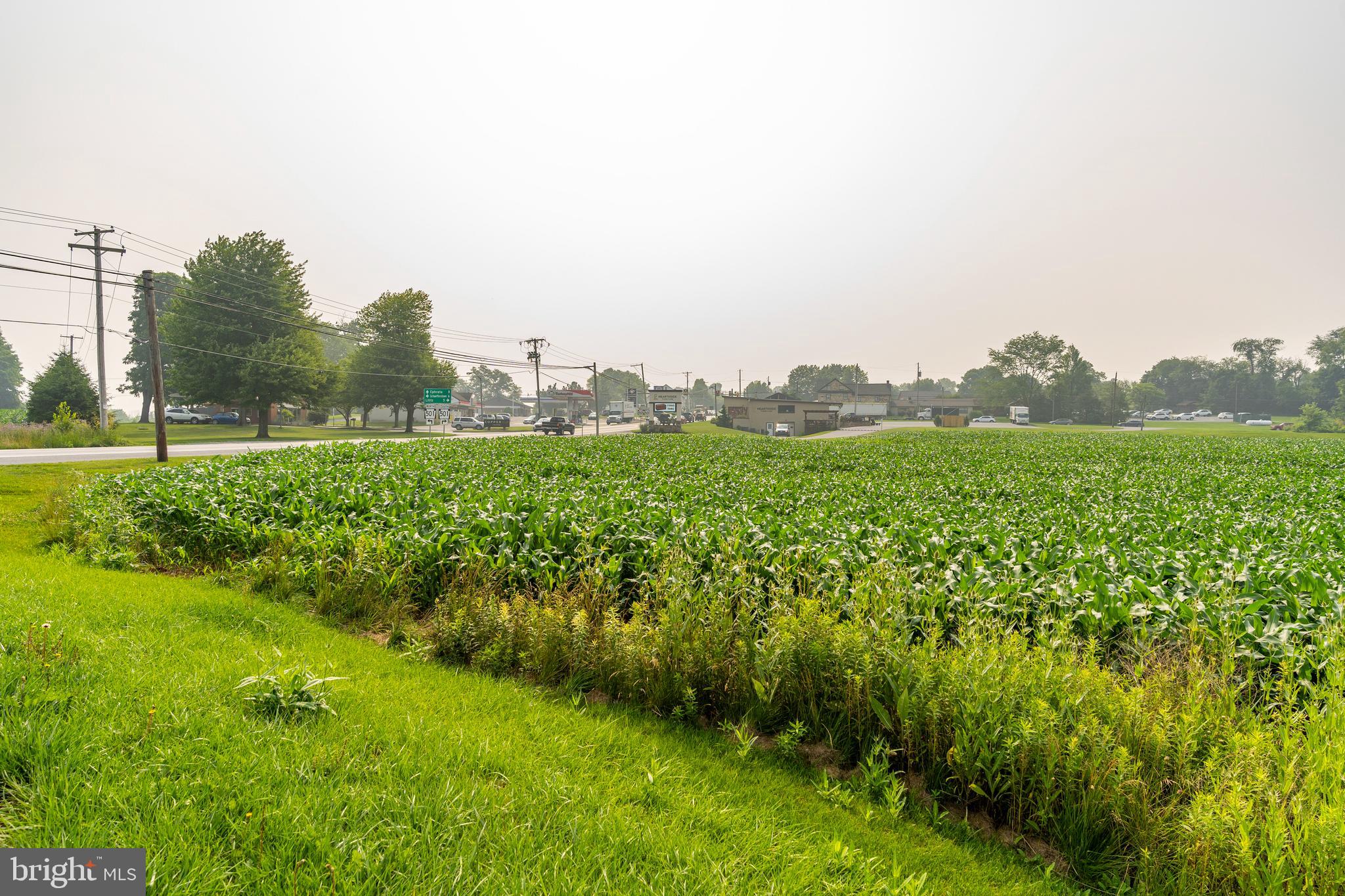 ELIZABETH TWP - Commercial Sale