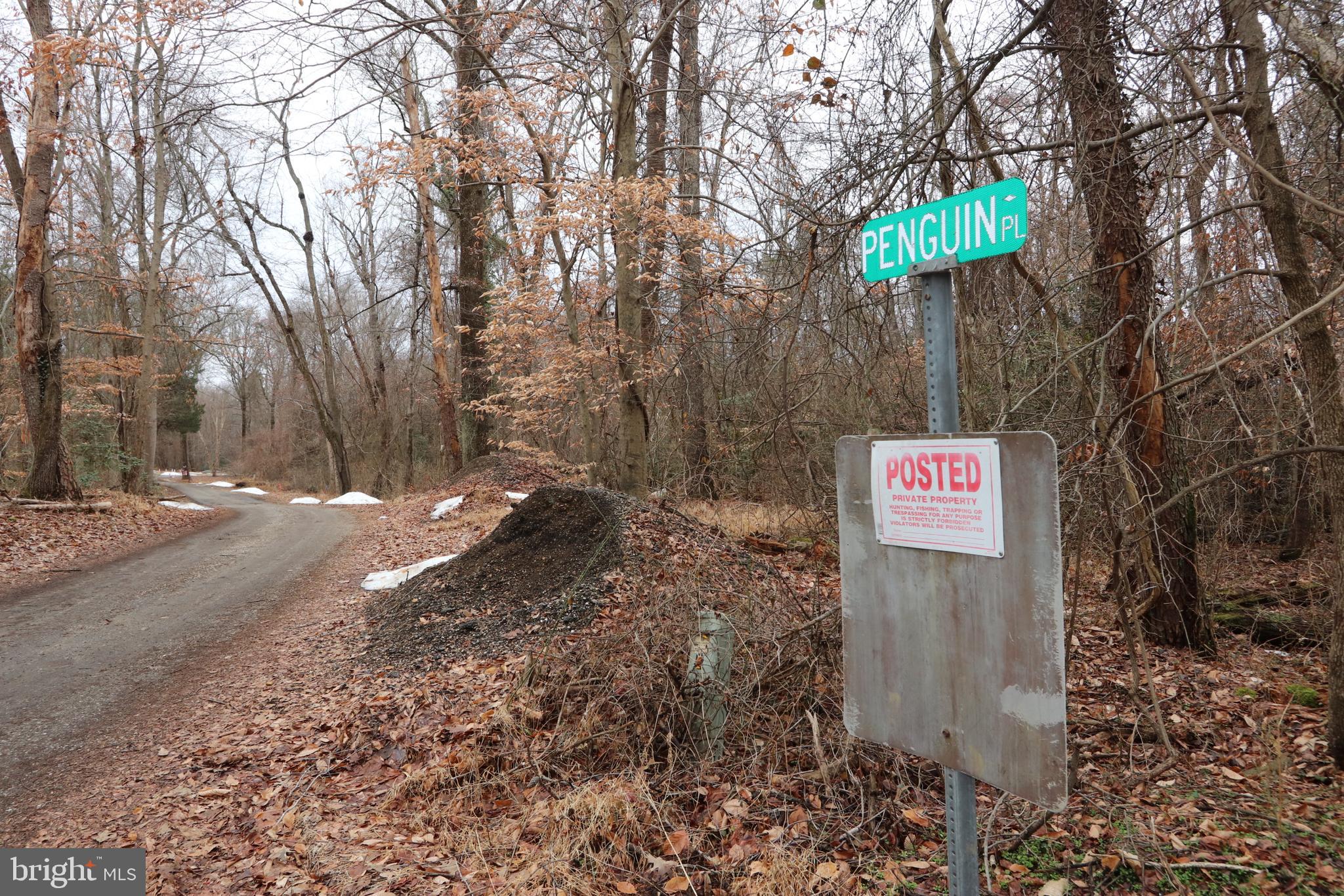 Lots 2-6 and 11-16 located on Penguin Place, Bryans Road MD 20616 are being sold AS-IS and on one deed. Buyer and/or their contractor must have final septic location drawn and approved by the Charles County Health Department. Lots 2-6 passed a mound system perc (in 2024). Lots 11-16 passed a conventional septic perc (also in 2024). It is unknown if the lots can be separated into 2 building lots.  
The lots are located very near the Potomac River, and there appears to have public access to the river. 
The lots are wooded and mostly level. It also appears the lots are outside of the 100-year floodplain.