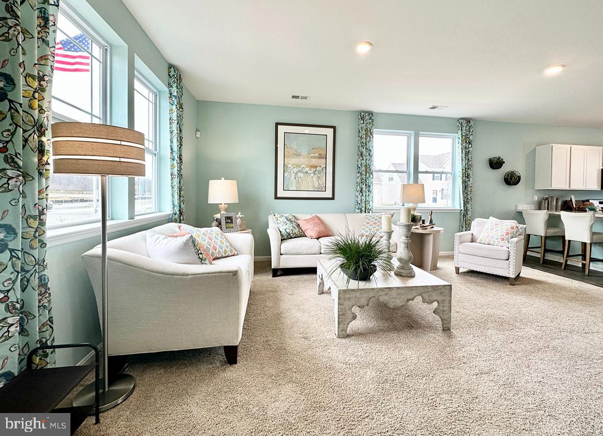 SASSAFRAS MEADOWS - Residential