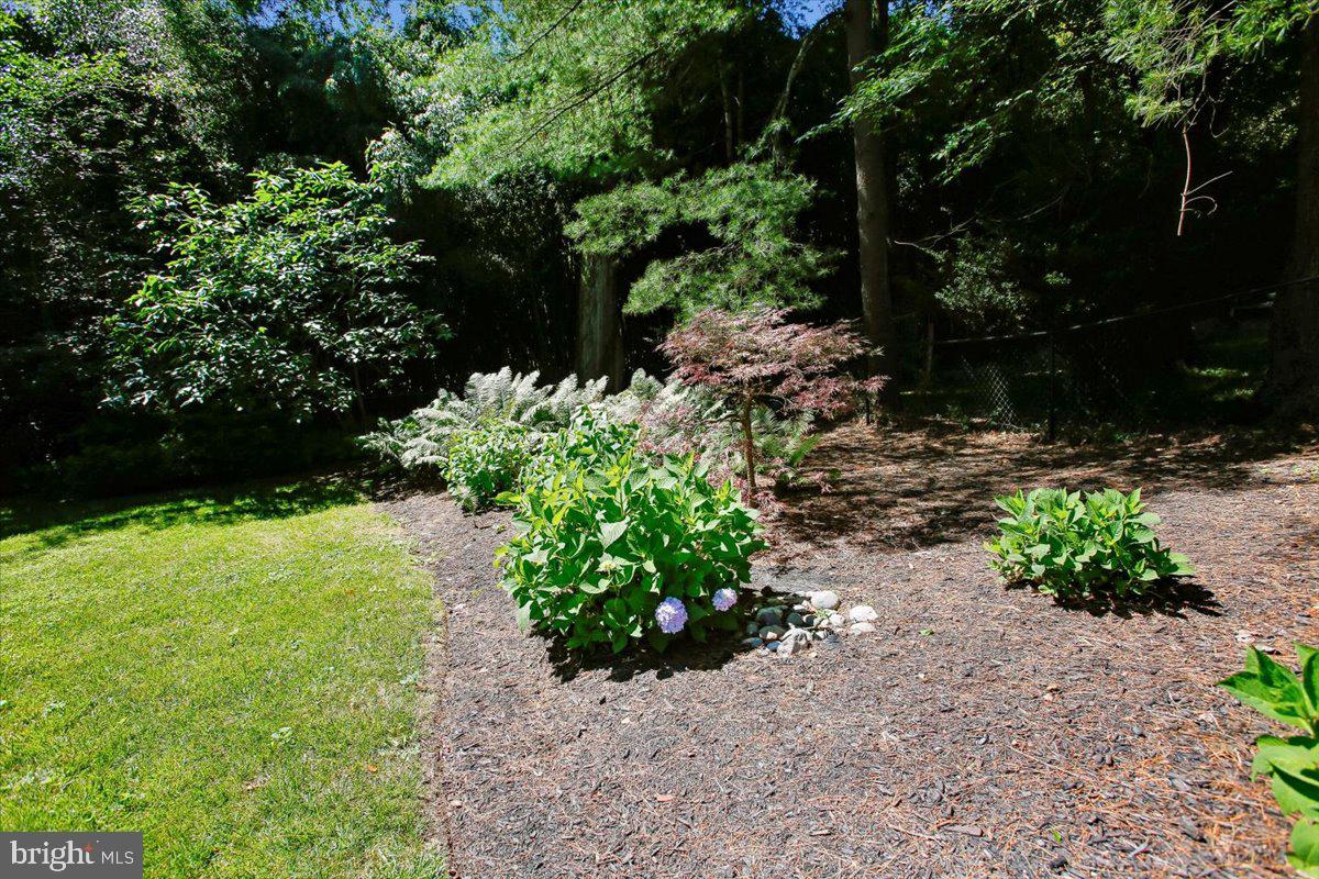 CARDEROCK SPRINGS - Residential