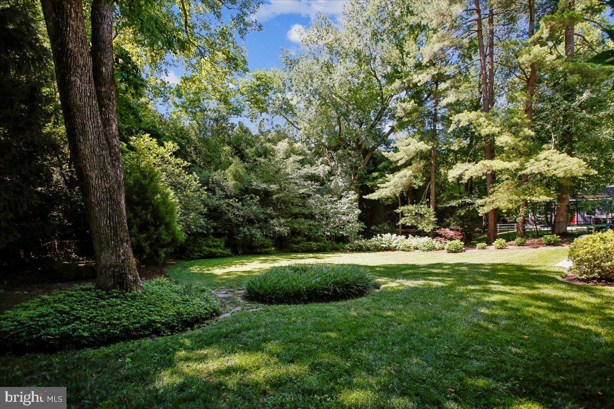 CARDEROCK SPRINGS - Residential