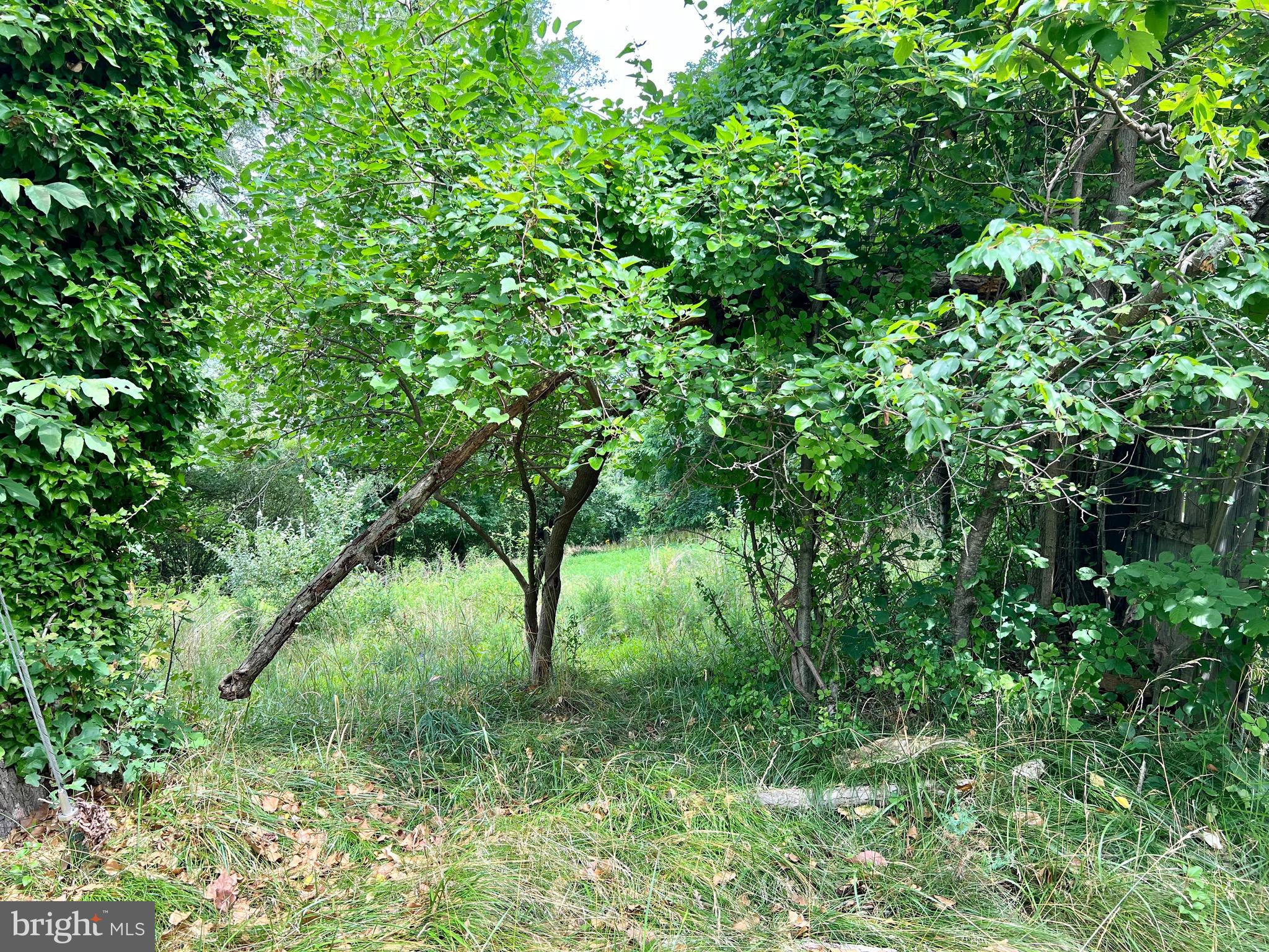 DAISY HILL ESTATES - Land