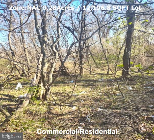 Attention builders and developers! An incredible opportunity awaits you to acquire a stunning piece of commercial land conveniently situated near National Harbor. The current zoning in PG County is Neighborhood Activity Center (NAC), making it ideal for various development projects. With access to nearby public utilities and close proximity to numerous amenities, this opportunity is not to be overlooked. Don't miss out on this chance to own a prime piece of real estate! The next-door lot is also available for purchase. It can be bought separately or together. Lot #263. This one is lot number 264.