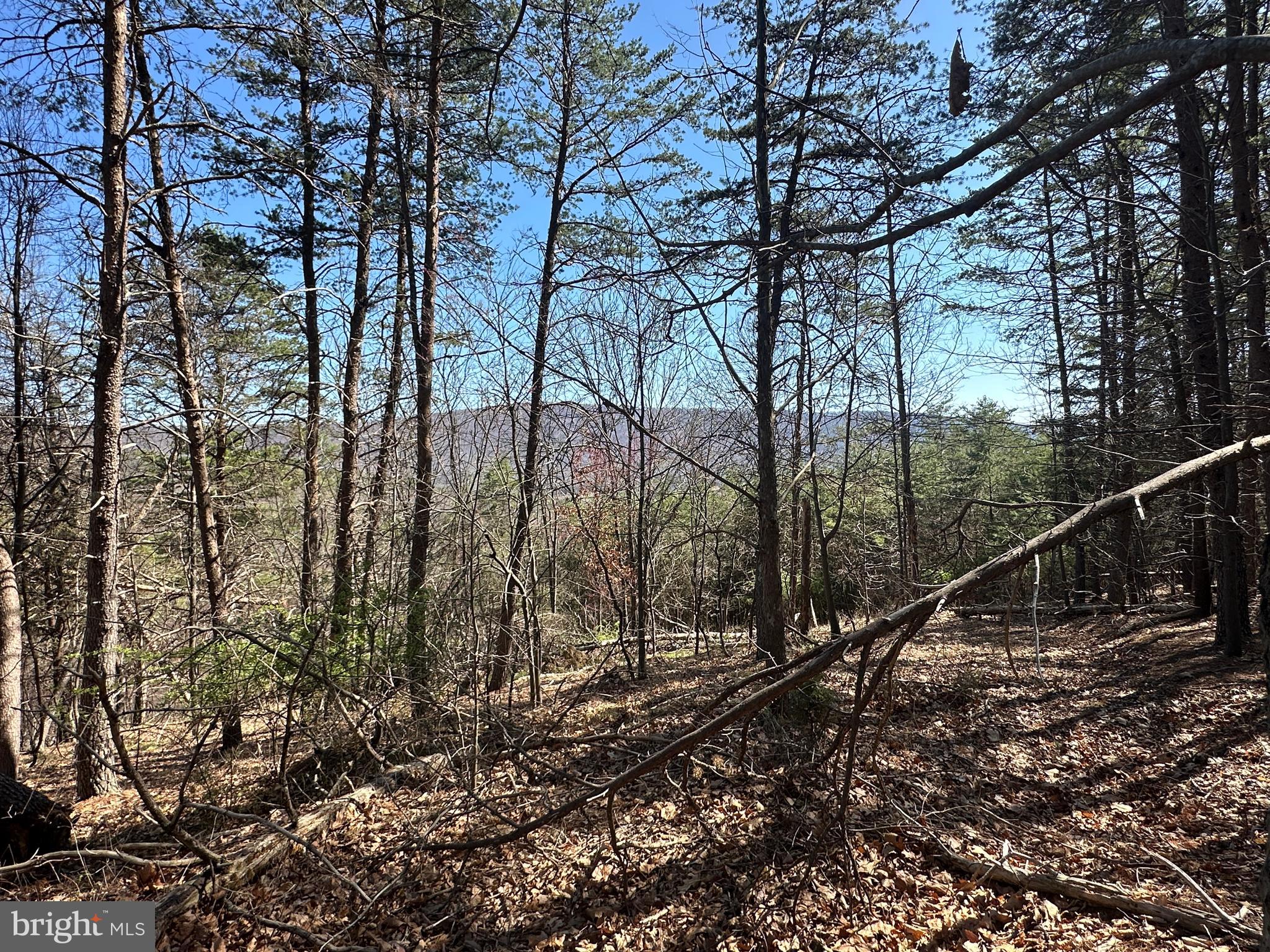 MOUNTAIN AIR - Land