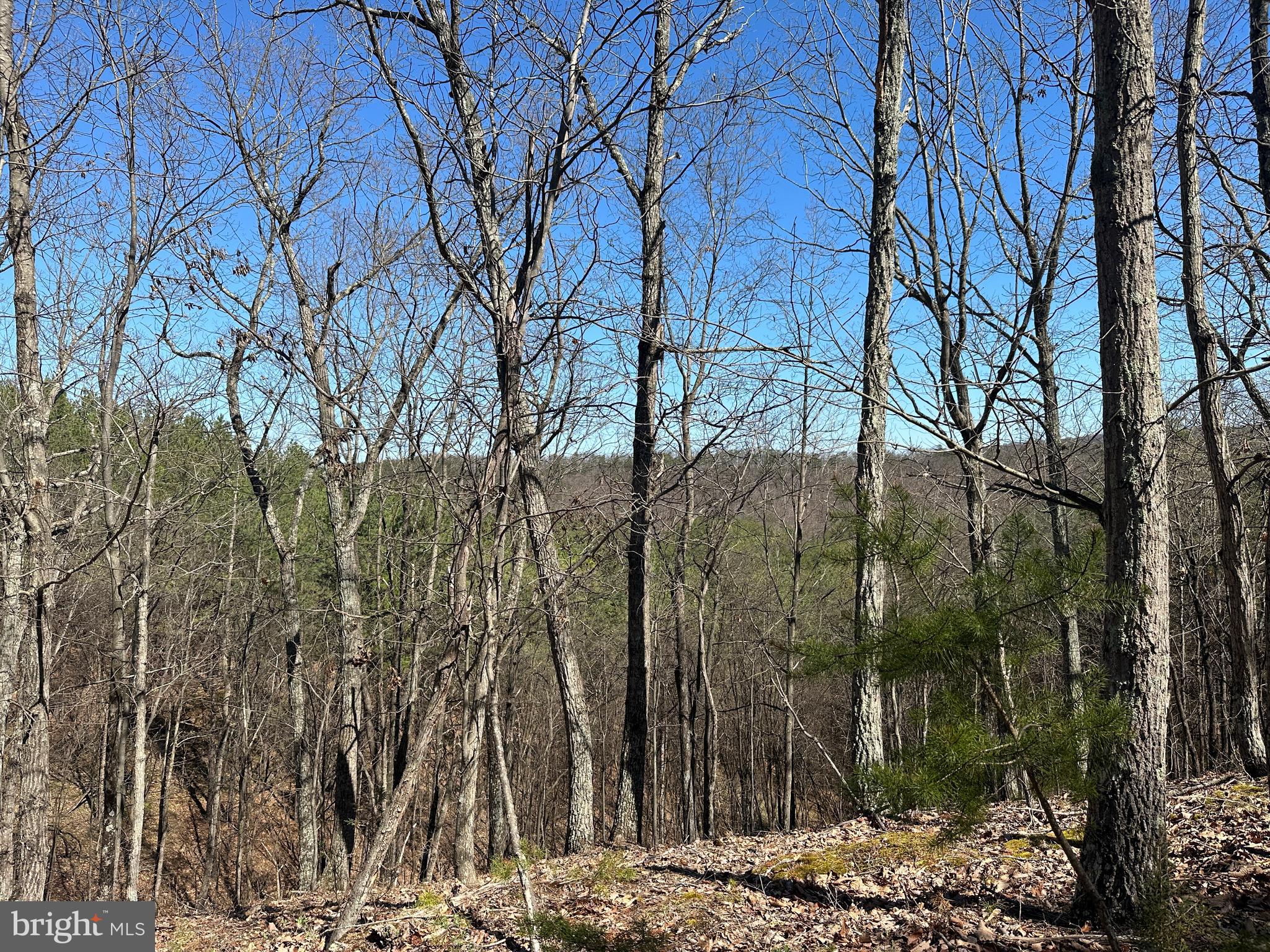MOUNTAIN AIR - Land