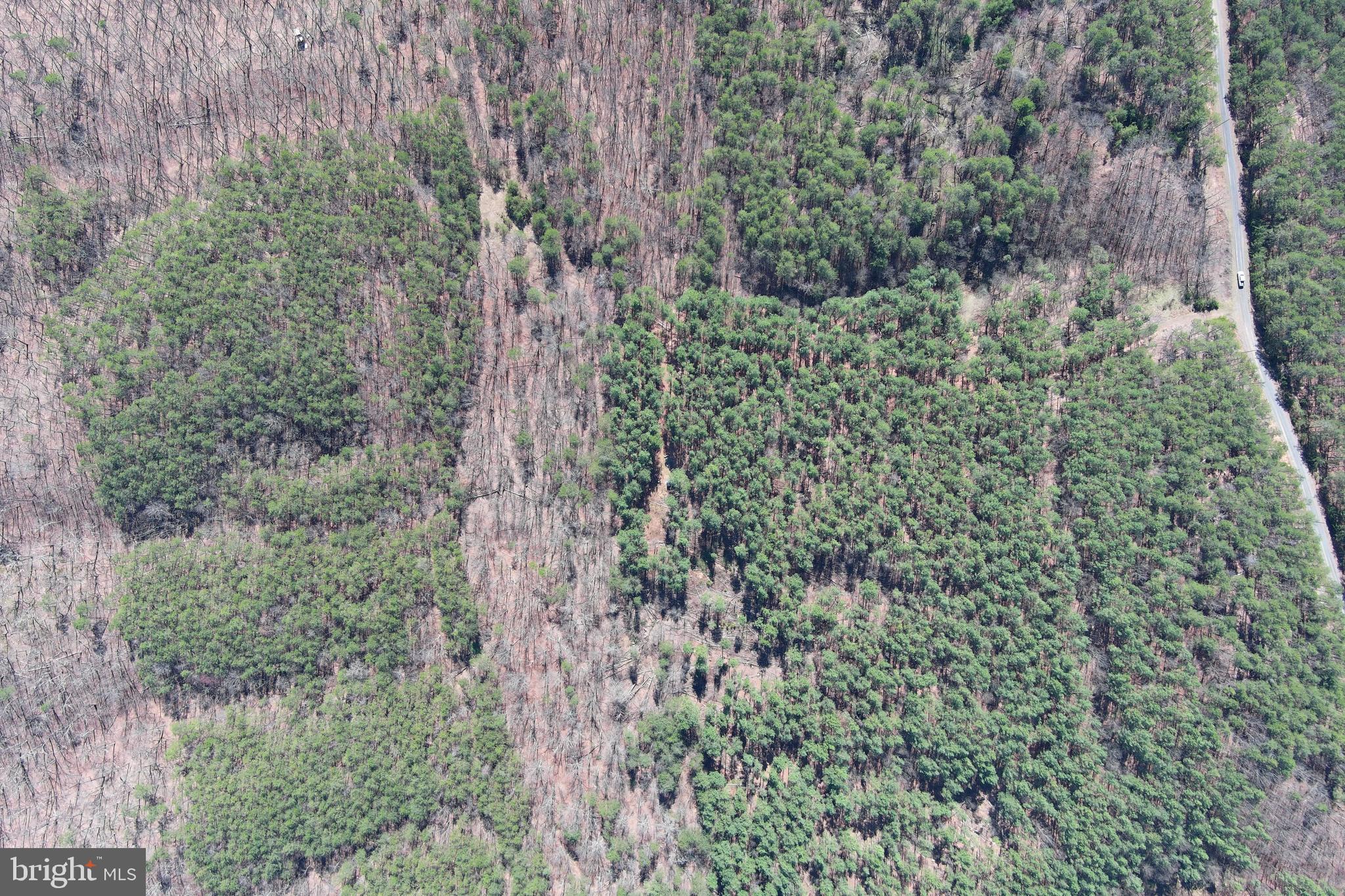 MOUNTAIN AIR - Land