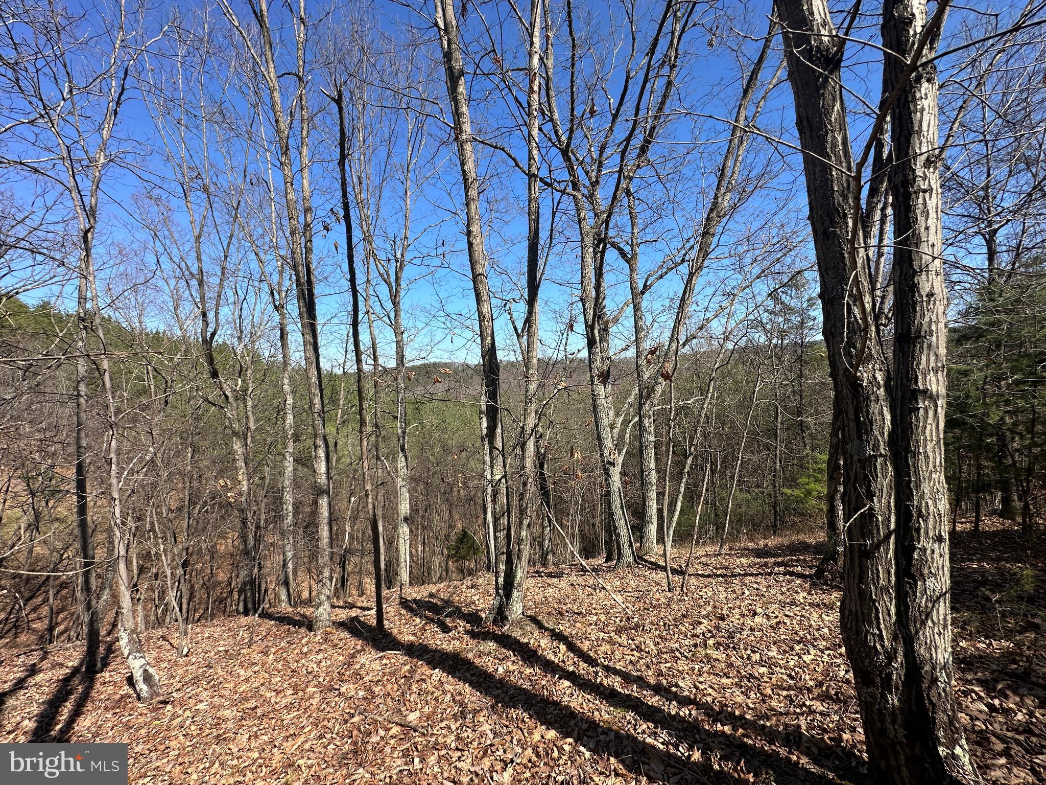 MOUNTAIN AIR - Land