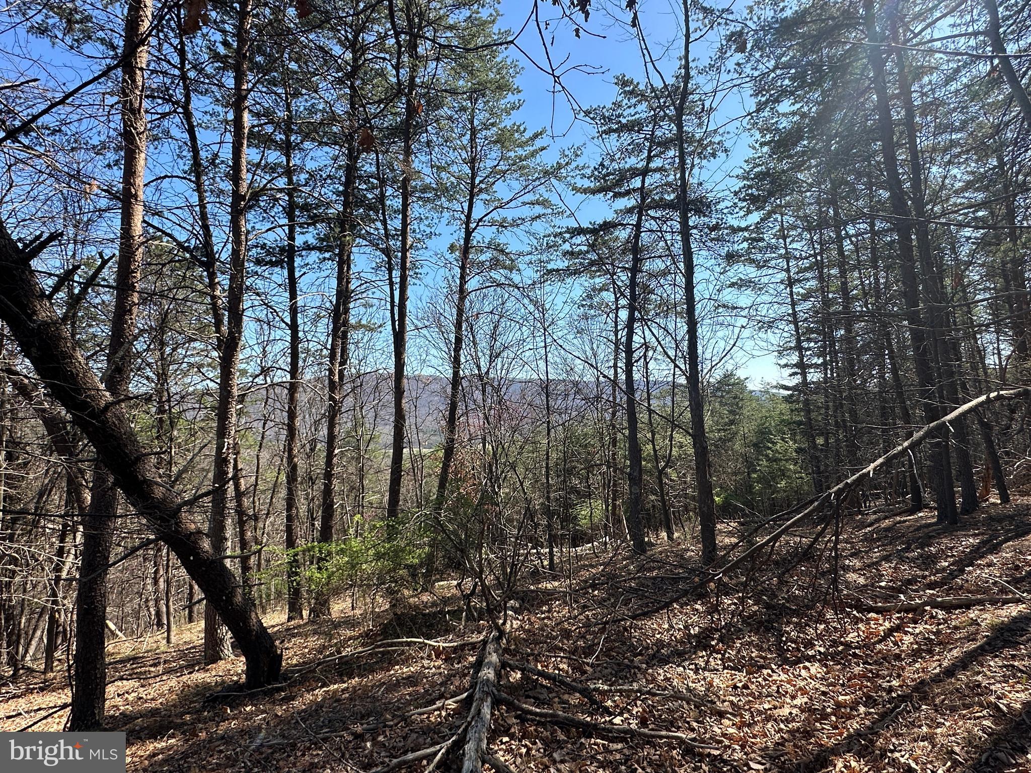 MOUNTAIN AIR - Land