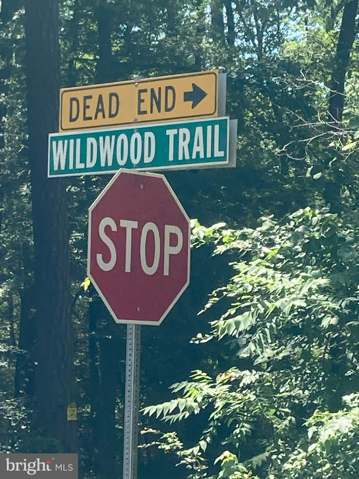 WILDWOODS - Land