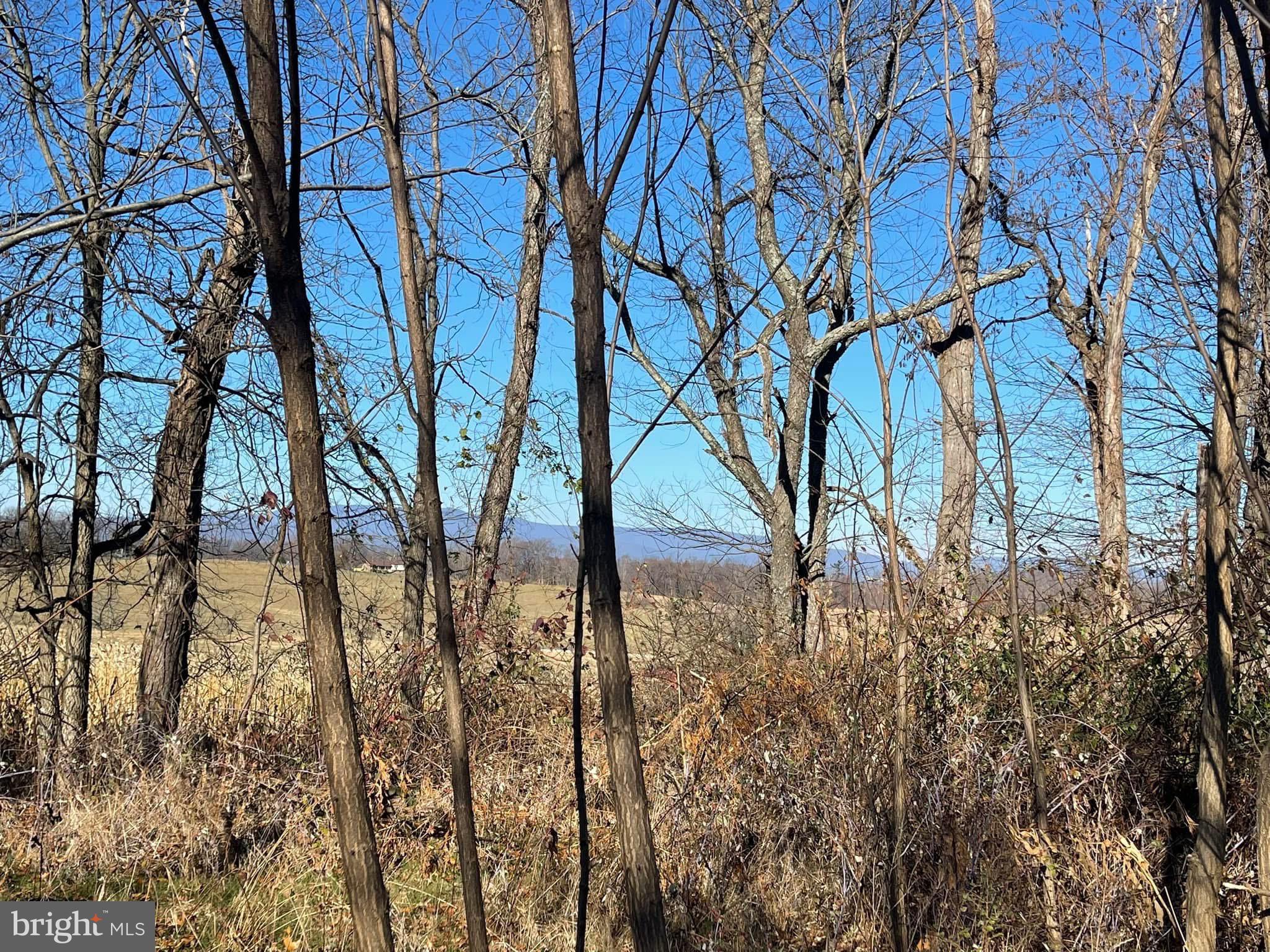 This 30.031 acre lot is located in Augusta County in the Riverheads School district. The lot is is beautiful and has some great views. This lot is mostly wooded with mature hardwoods. The wildlife on this lot is plentiful. Perfect lot for a family homestead or compound. Feasibility report shows multiple home sites perc for 3/4 bedroom conventional systems. Schedule your showing with your agent today.