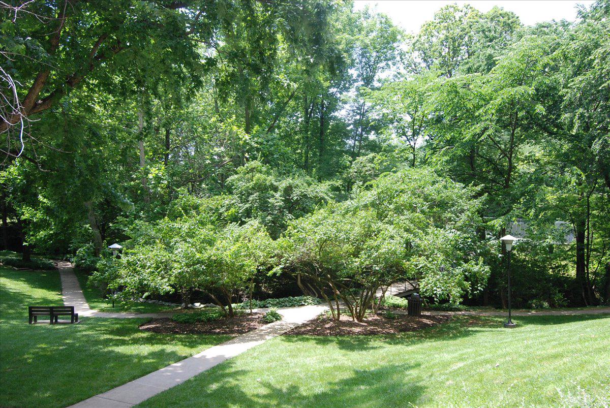 GROSVENOR PARK - Residential