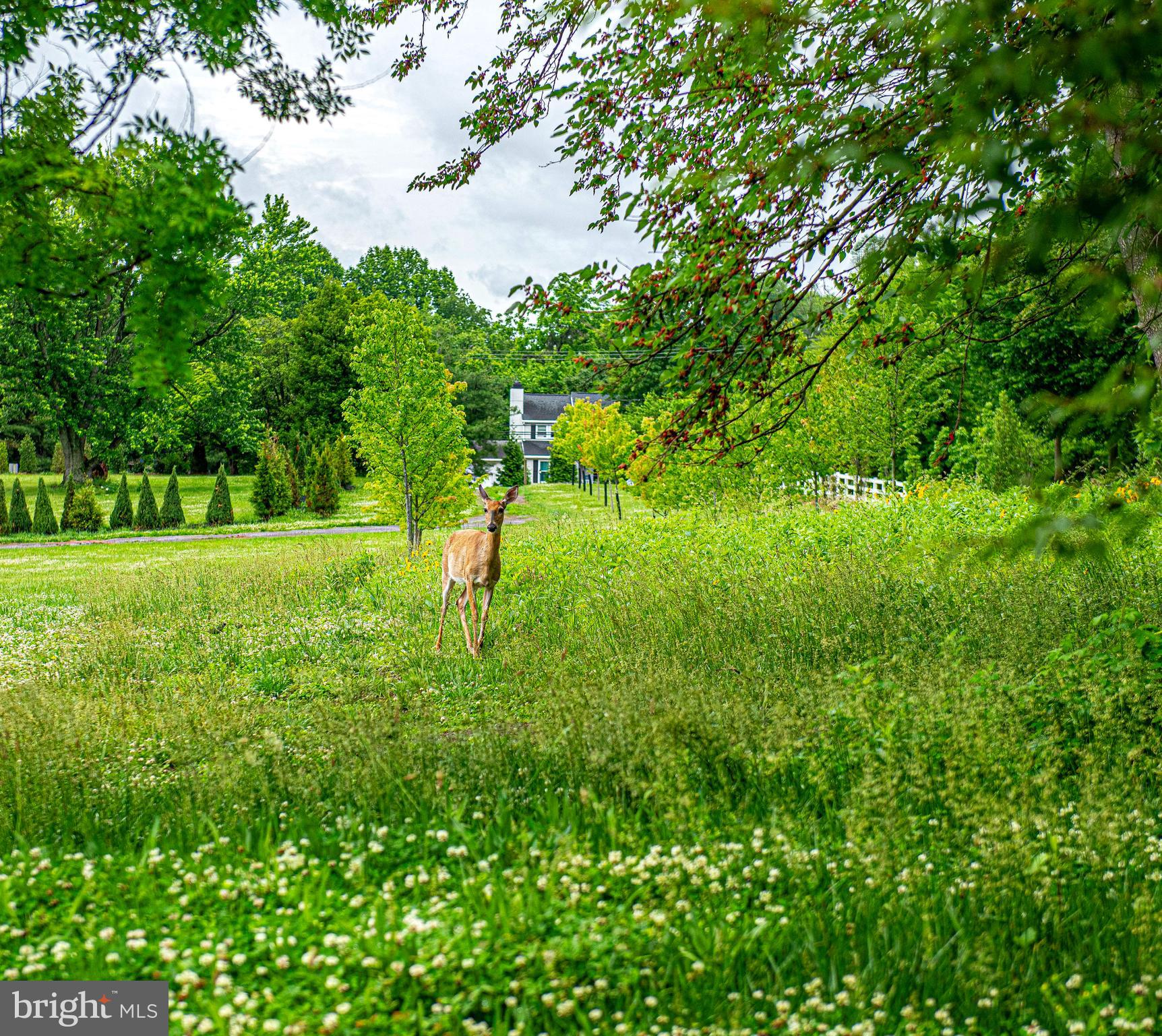 SHIPLEYS GRANT - Residential