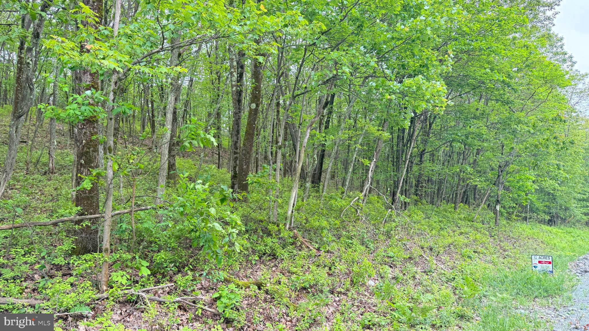Huge 5.14 acre wooded lot in Carbondale township. Great location being easily accessible to the highway, 
 less than 5 min away from State Game Lands 300 which has over 4 thousand acres of state game land with a public pond for fishing, 30 min from Scranton, 2 hours from NYC/Philly/NJ. Subdividable into 3 lots. Excellent hunting with plenty of vantage points either on the property or on the game lands. Build a castrle on Sun Mountain. Nice rectangle shaped lot with approx 370 ft of road frontage. Dimensions are 370x630x415x560. Low Taxes under $400 per year. Never been timbered with a lot of timber on the property. There are many natural blueberry bushes on the property. Build your house with 5 wooded acres behind to hunt.  No development whatsoever behind the property. Lakeland School District. Owned by licensed PA/NJ realtor.