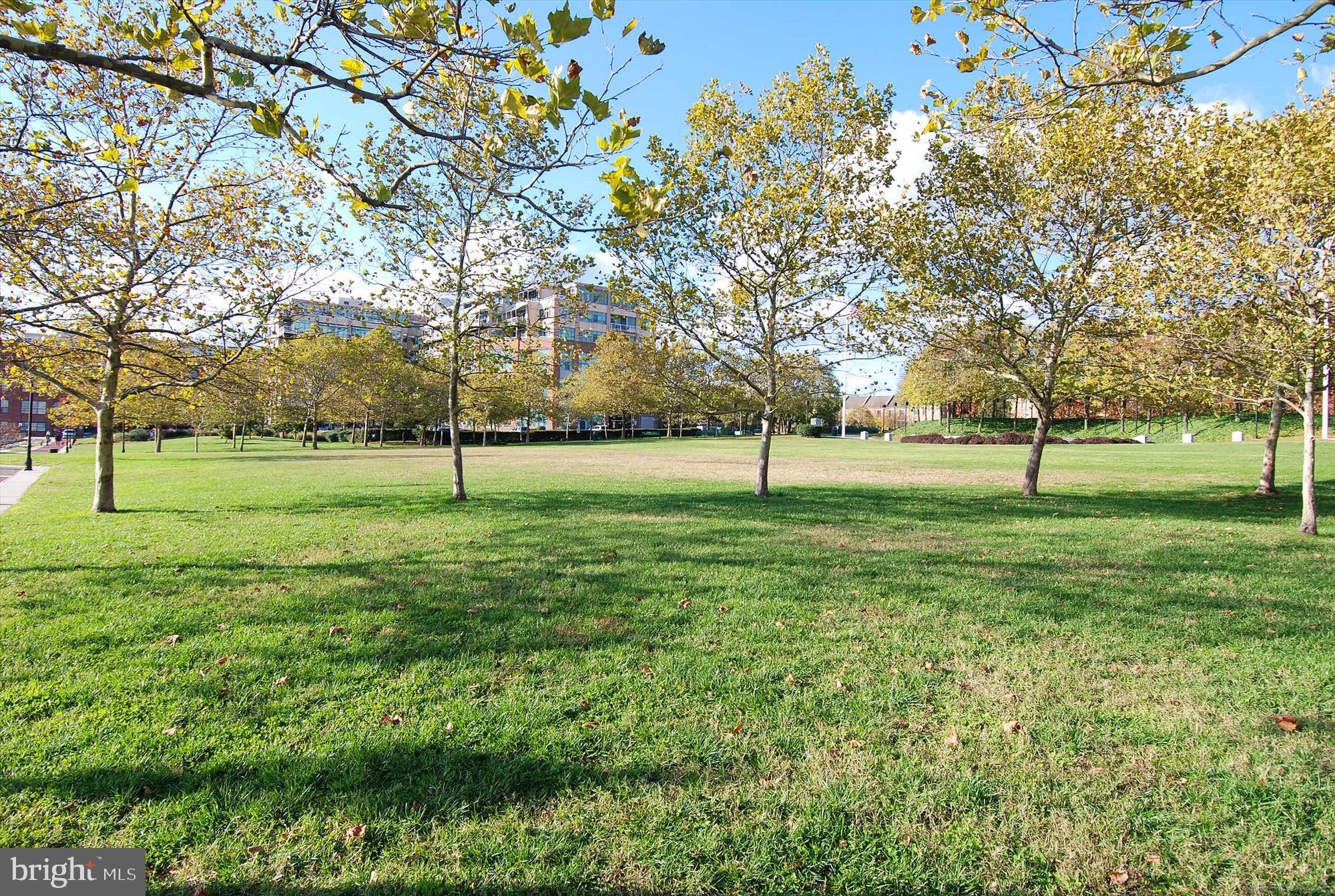 CANTON COVE - Residential