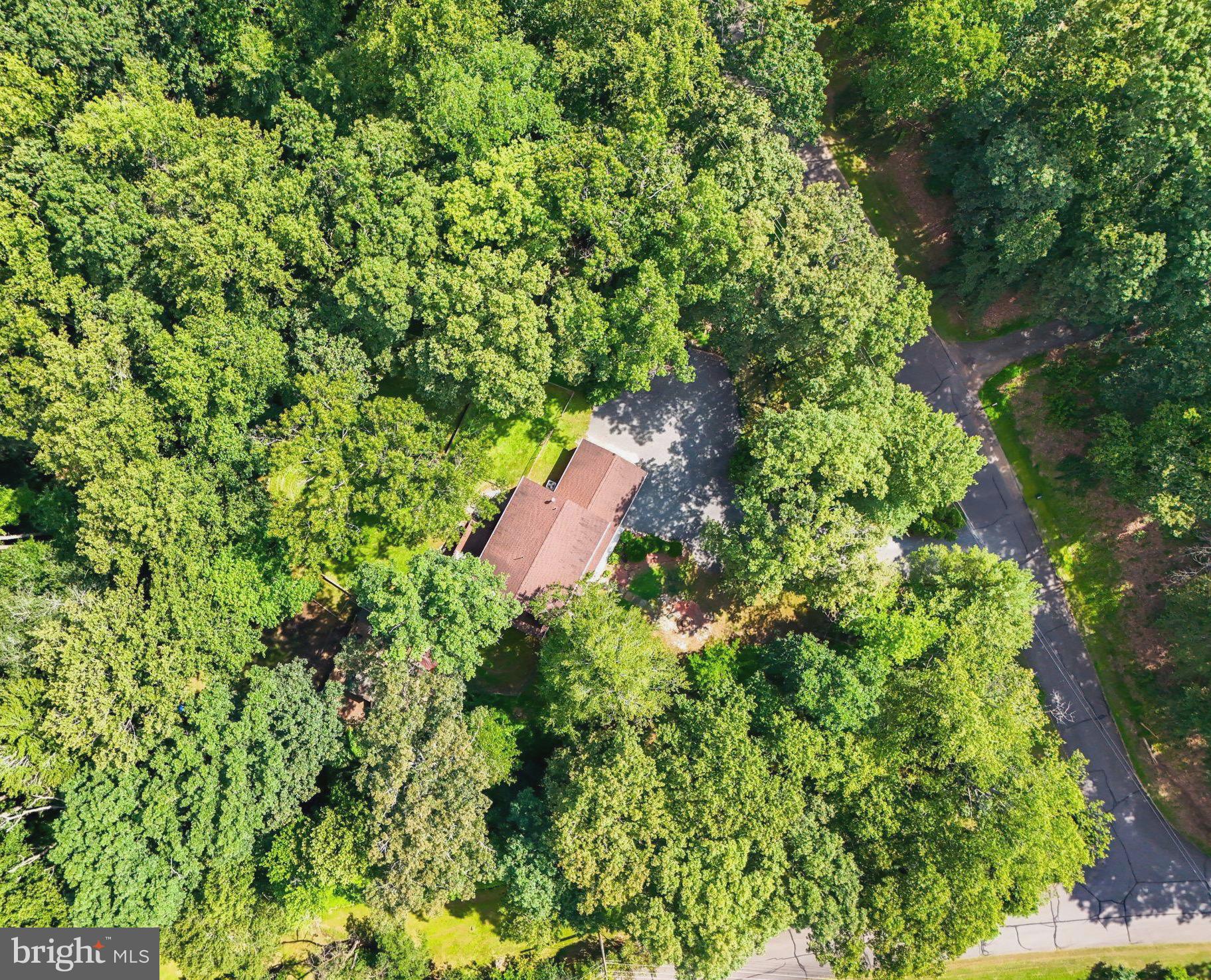 RAINTREE - Residential