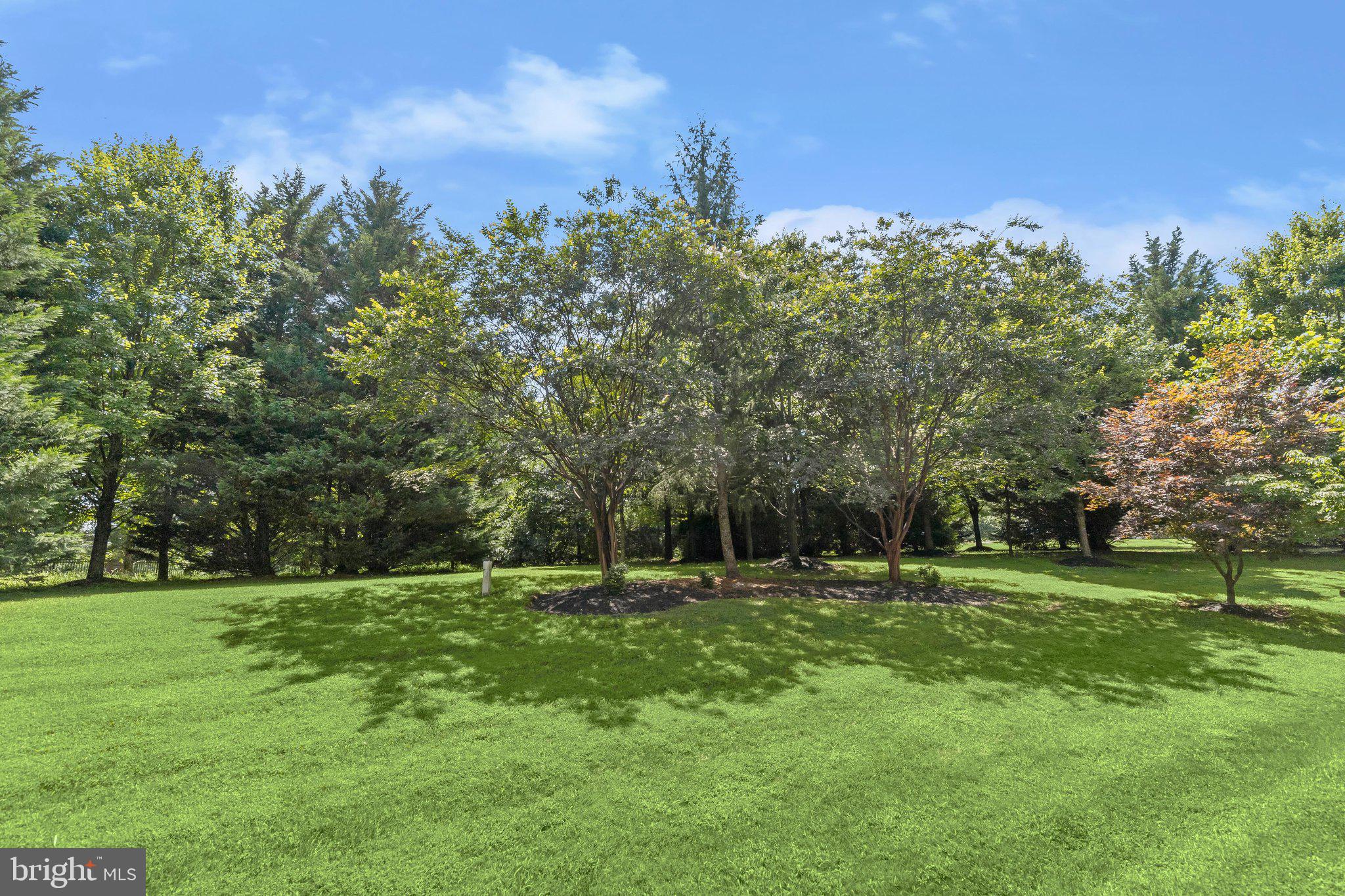 PINDELL WOODS - Residential