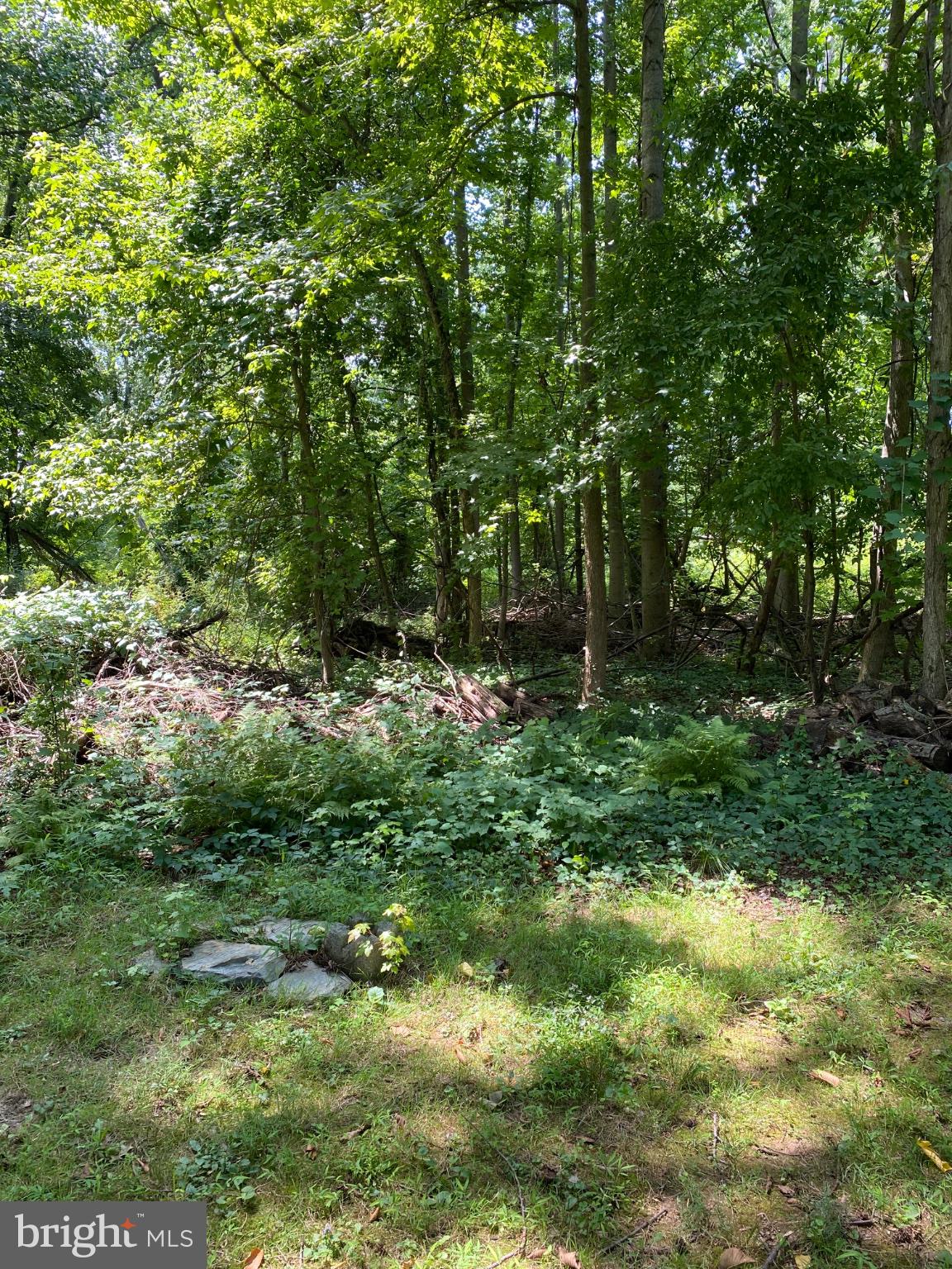 MAPLE GLEN - Residential
