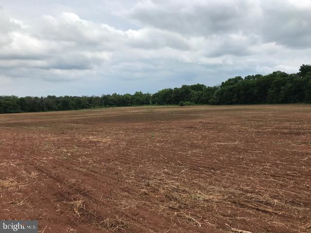 356 acre farm in three parcels of 279 and 15.4 acres sold separately or as a whole.   In agricultural production under ag lease (year to year) and in land use.  Not Conservation Easement.  16 by right potential lots per Fauquier County.  Long frontage on Rt 28 at Midland.  approximately 50 acres in the Midland Service District planned R-1, one acre lots.  Backs to Crockett Park and Germantown Lake with the 15 acre parcel possibly a lake view building lot.   Property is a portion of the 1100 acre historic Germantown Settlement and a small area of remnant structures and graves remain.   Listed on the National Register.

Multiple possible uses - agriculture, residential, investment, etc.    In land use taxation.

Main corpus of the farm is in crop production with some areas wooded.  Portions fenced for cattle historically.  Licking Run bisects the property and creates opportunities for possible ecosystem service development of wetlands, stream restoration or nutrient reduction.  Stream is below the Germantown dam and a dam inundation zone exists downstream.