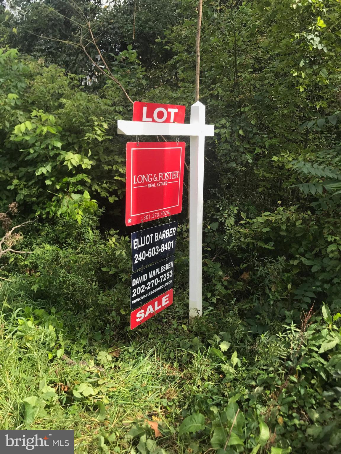 Over a half-acre lot zoned for a residential single-family home at a super price - well below the $78,700 tax-assessed value.  It's wooded but the growth is mostly new wood - easy to clear and no tree protection zone here. Set your home well back from the street and keep some growth for more privacy. Convenient location with easy access to shopping and Route 5 or Route 210.  It's a short drive to the Beltway. Public water and sewer are on the street as are utilities - so it is easy to get WSSC to connect water/sewer lines (currently new water/sewer lines are being installed in front of the lot) and gas and electricity are there also - ready to be connected.  Build your dream home here.  The seller built the house to the left previously (8600) but is now retired from house building.  Something similar can fit here!  The motivated seller wants to get this sold!