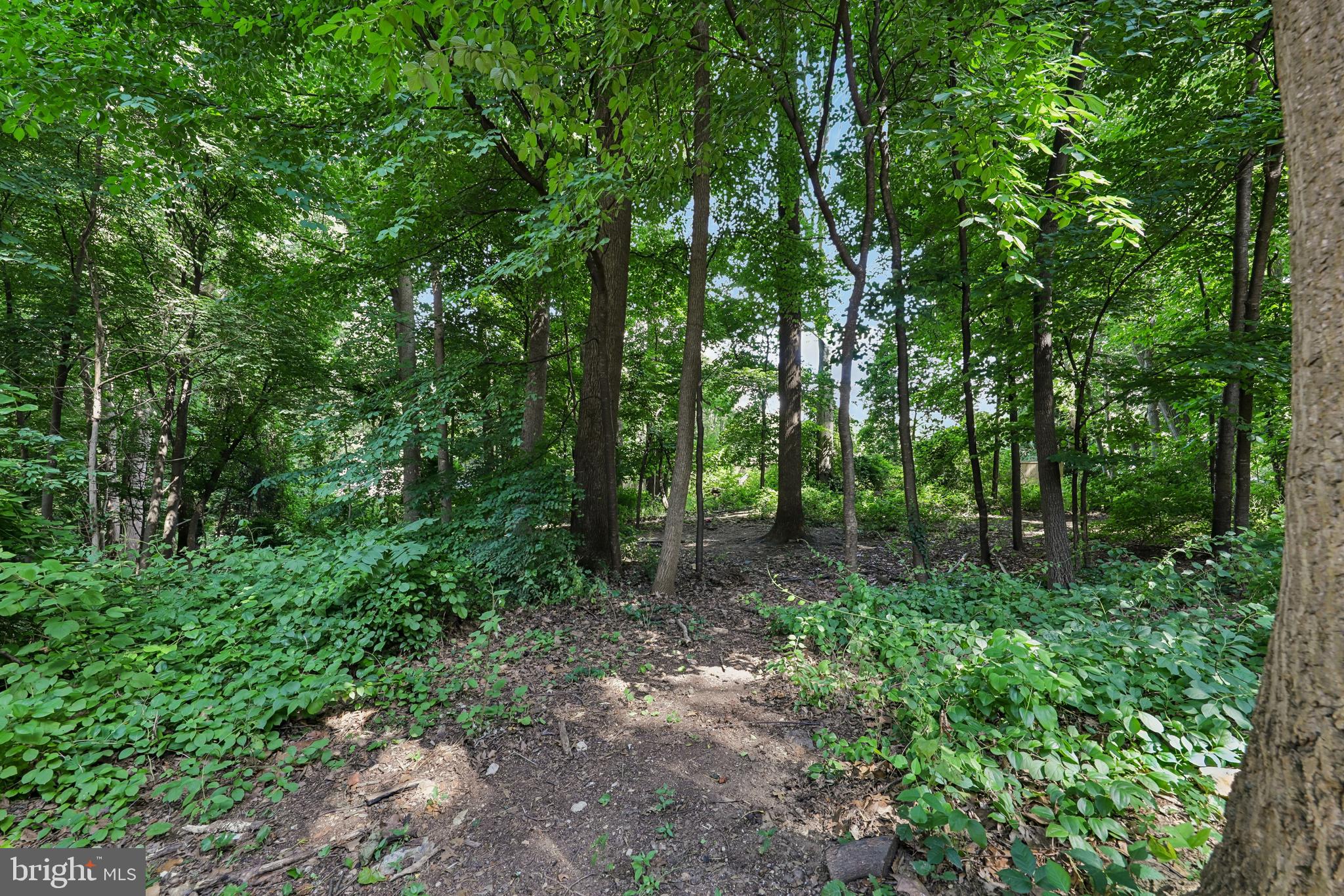 SADDLE RIDGE CODM - Residential