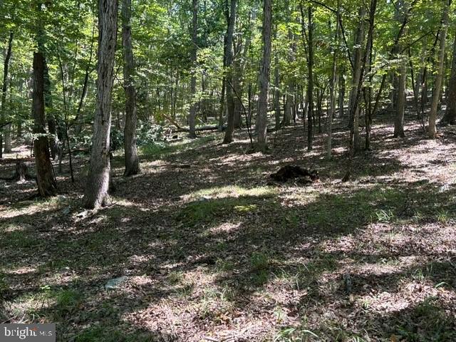 SHADOW KNOLLS - Land