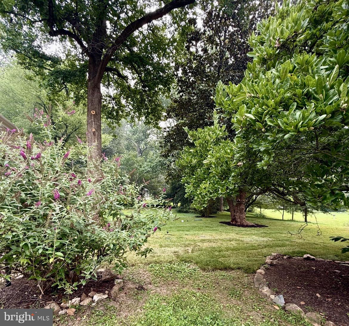 GLEN ARM - Residential