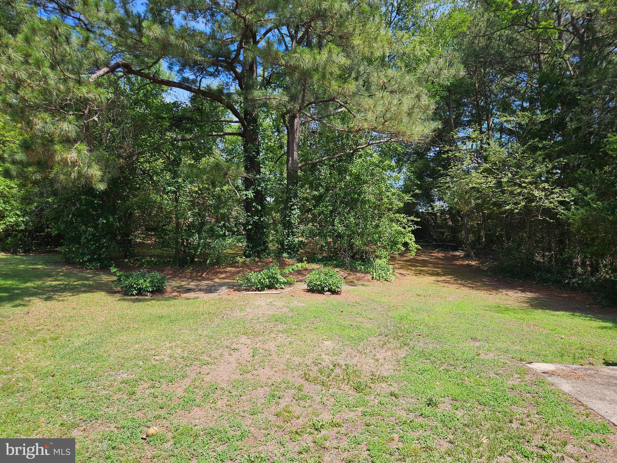 BOWLING GREEN - Residential