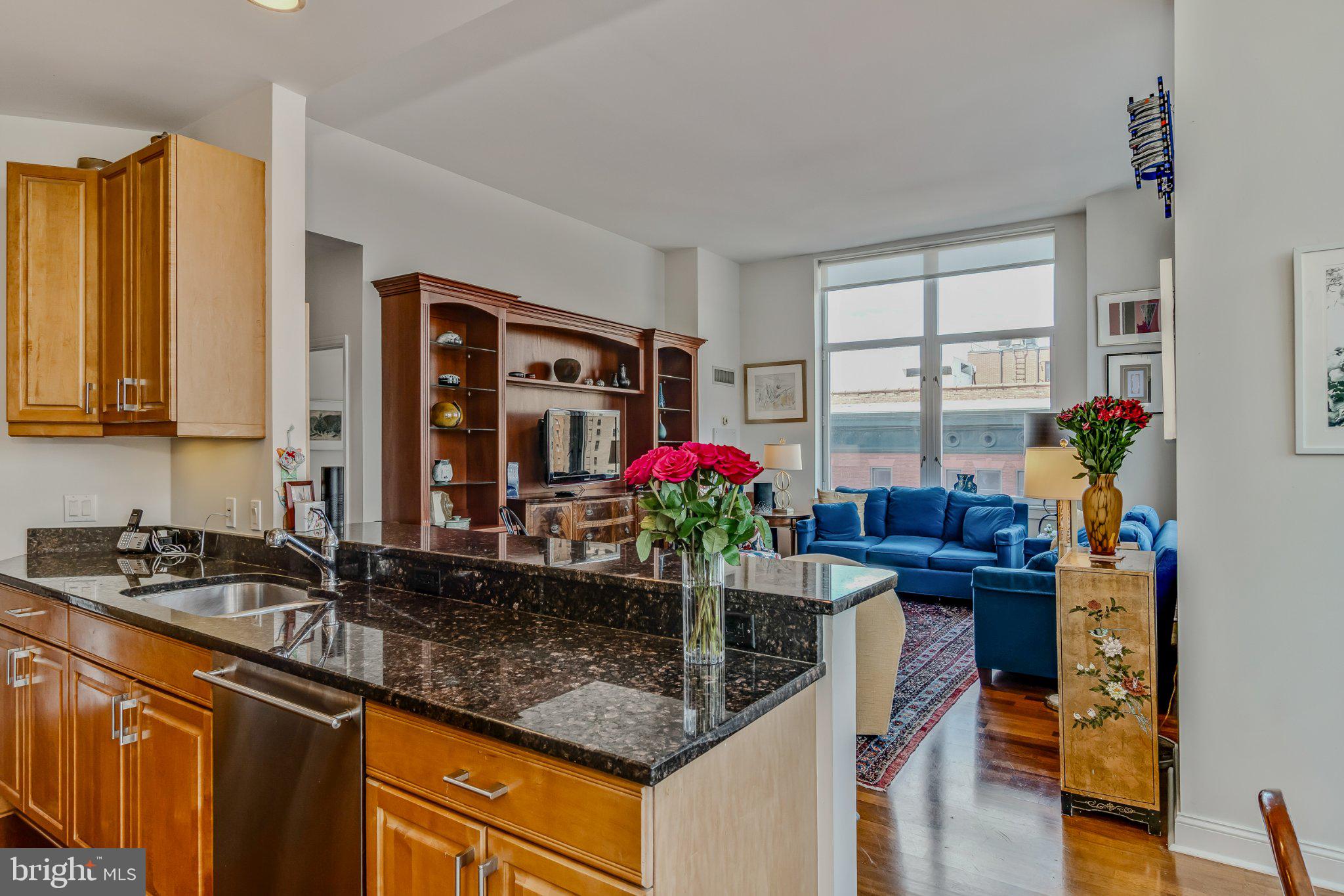 AVENUE OF THE ARTS - Residential
