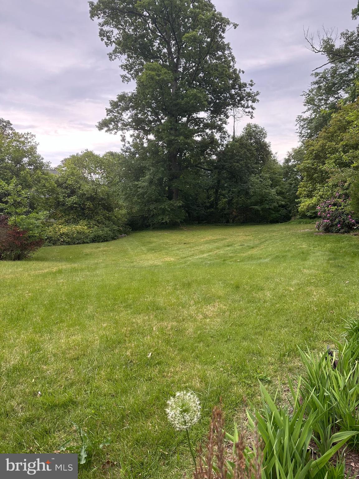 Gorgeous .32 acre LAND LOT in Alexandria! Ideal for building a beautiful home surrounded by nature. The lot is 200 feet deep with no trees in the buildable area so no need to clear anything prior to building. The land behind the lot is a non-buildable area so there will never be a house marring the beautiful view.
There is an existing design plan for a 5 bedroom, 5 & 1/2 bathroom home with a main floor bedroom and a walk-out basement available to the purchaser. Don't miss this rare opportunity to be able to build your home in Alexandria!
