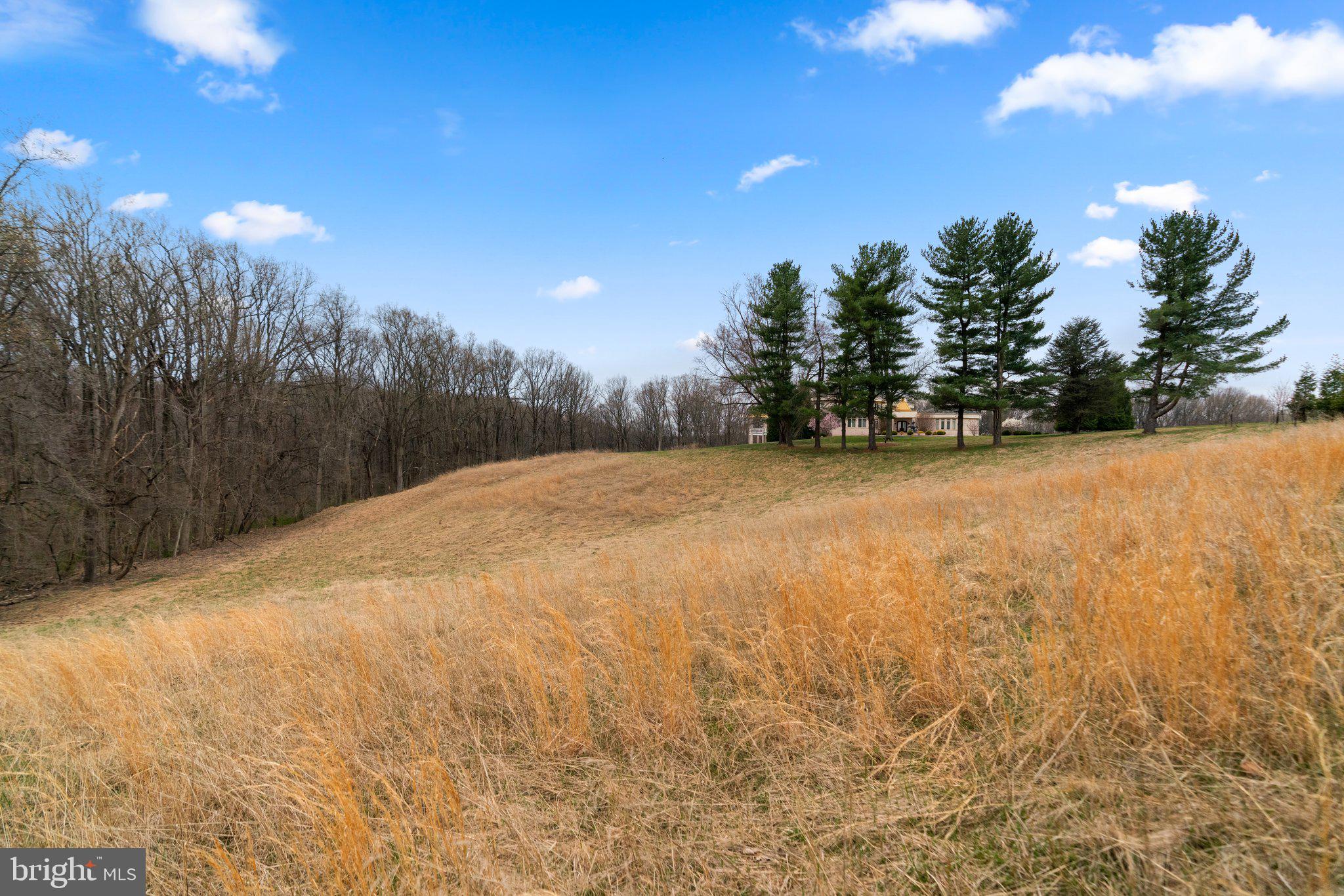 THE PRESERVE - Residential