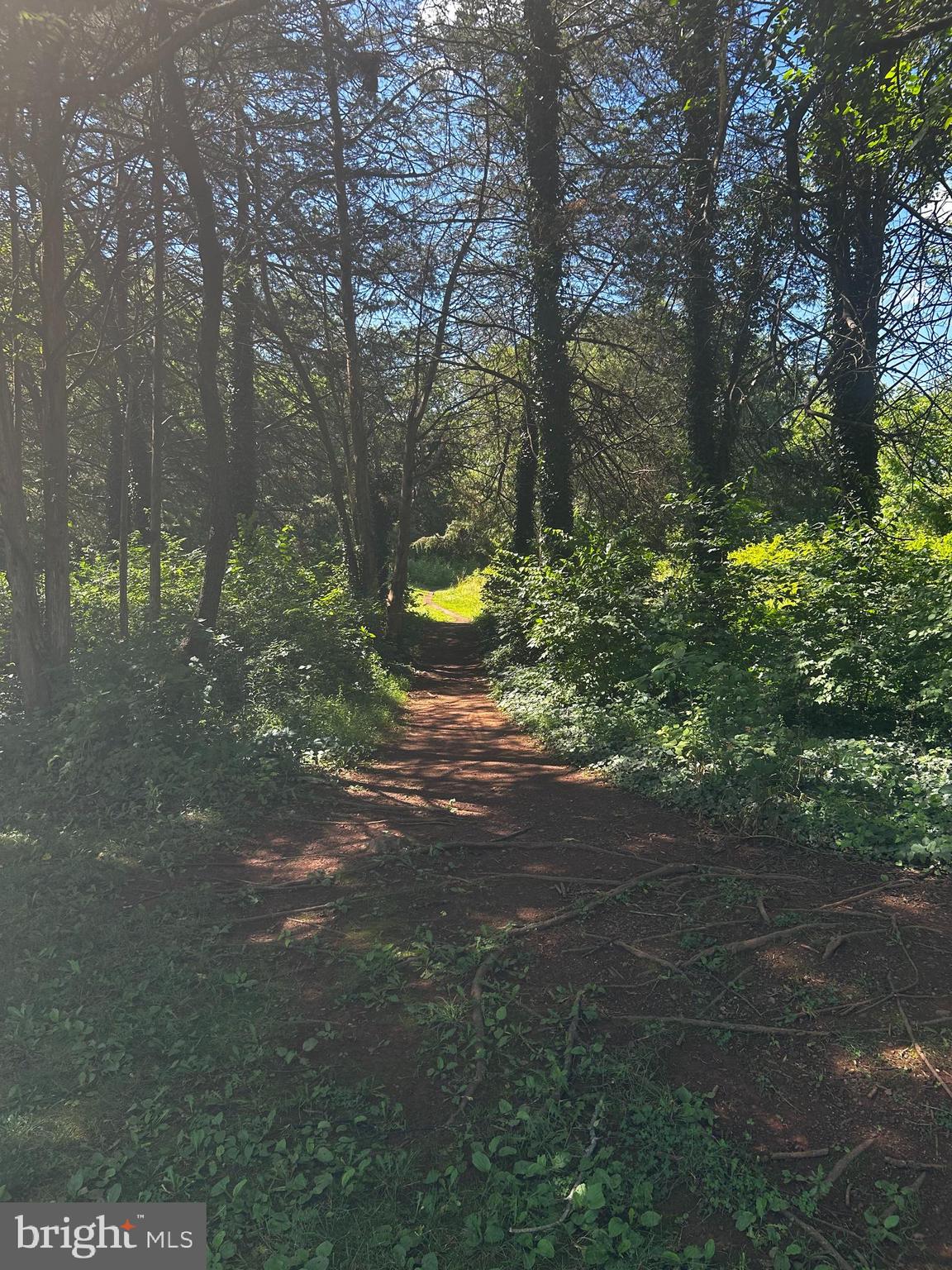 HIDDEN FIELDS - Residential