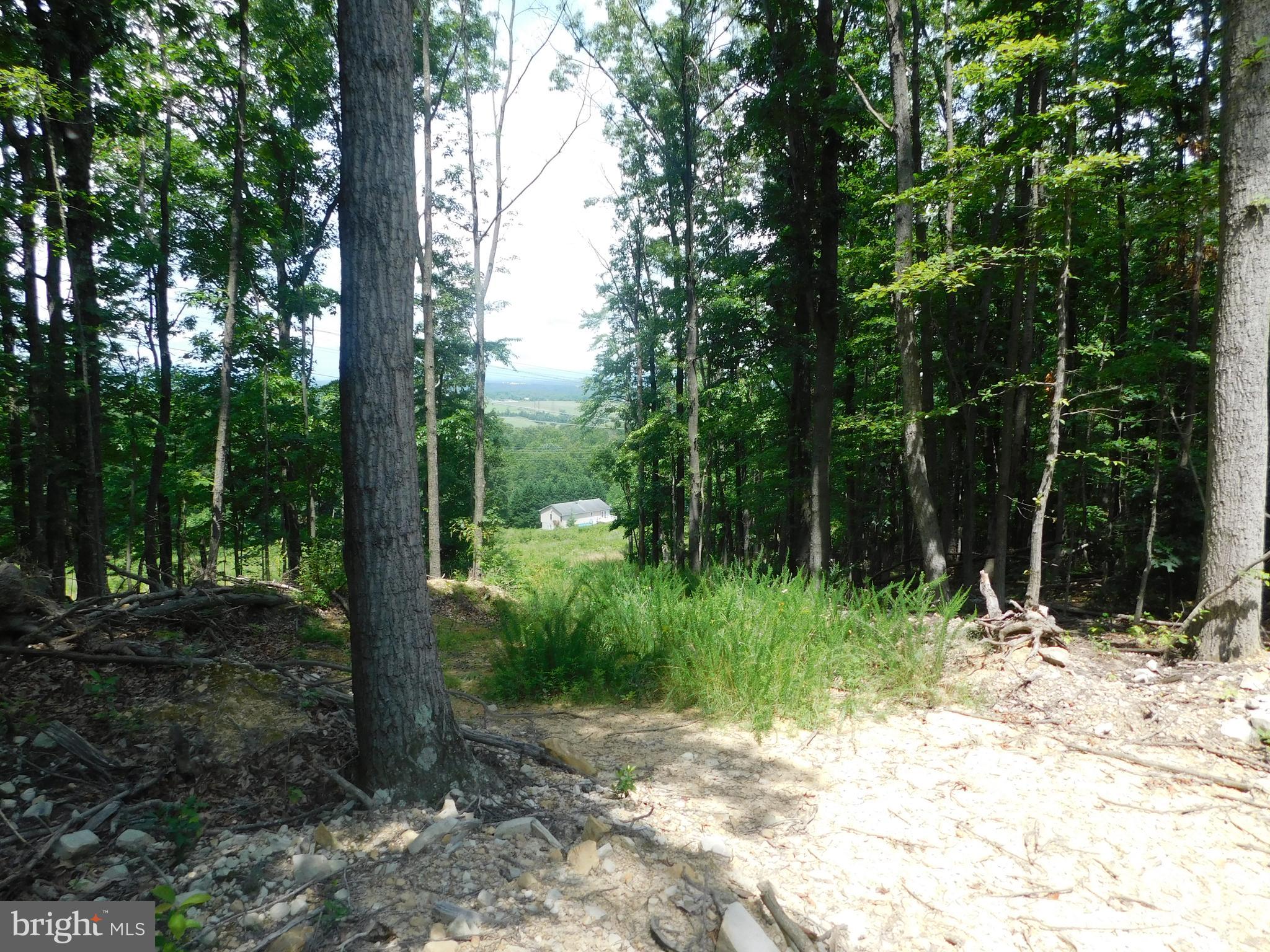 LARKIN RIDGE ESTATES - Land