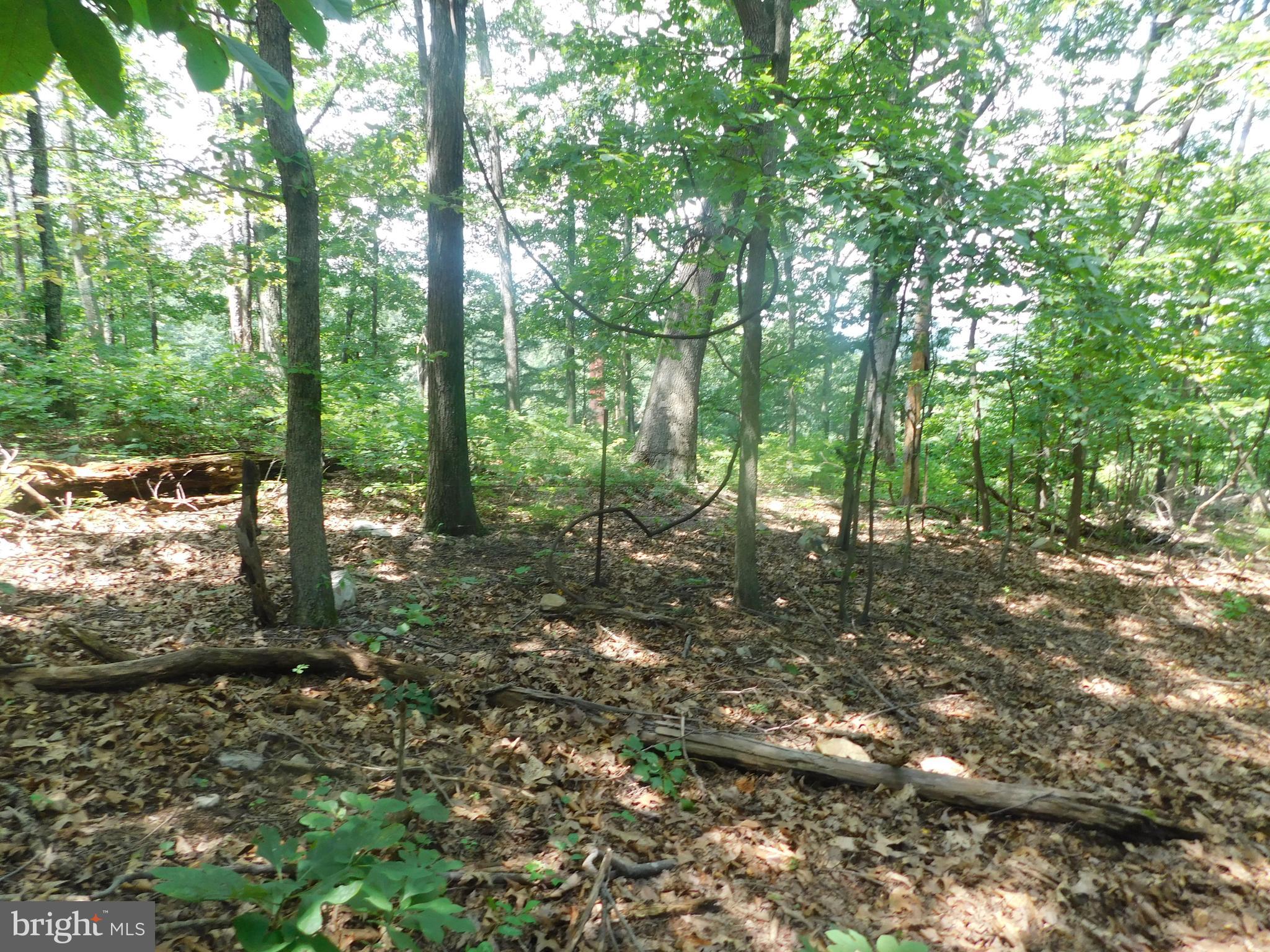 LARKIN RIDGE ESTATES - Land