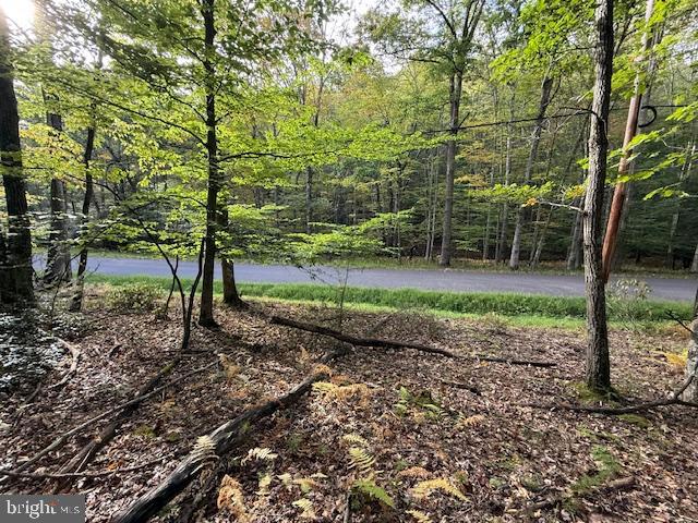 2 lots (7 & 8) totaling 2.57 acres, on gently sloping wooded area.  Nestled between Cannan Valley & Deep Creek Lake, this promises to be a perfect blend of convenience and tranquility. Nature surrounds you - the perfect spot for a cozy cabin!   Call agent for more information!