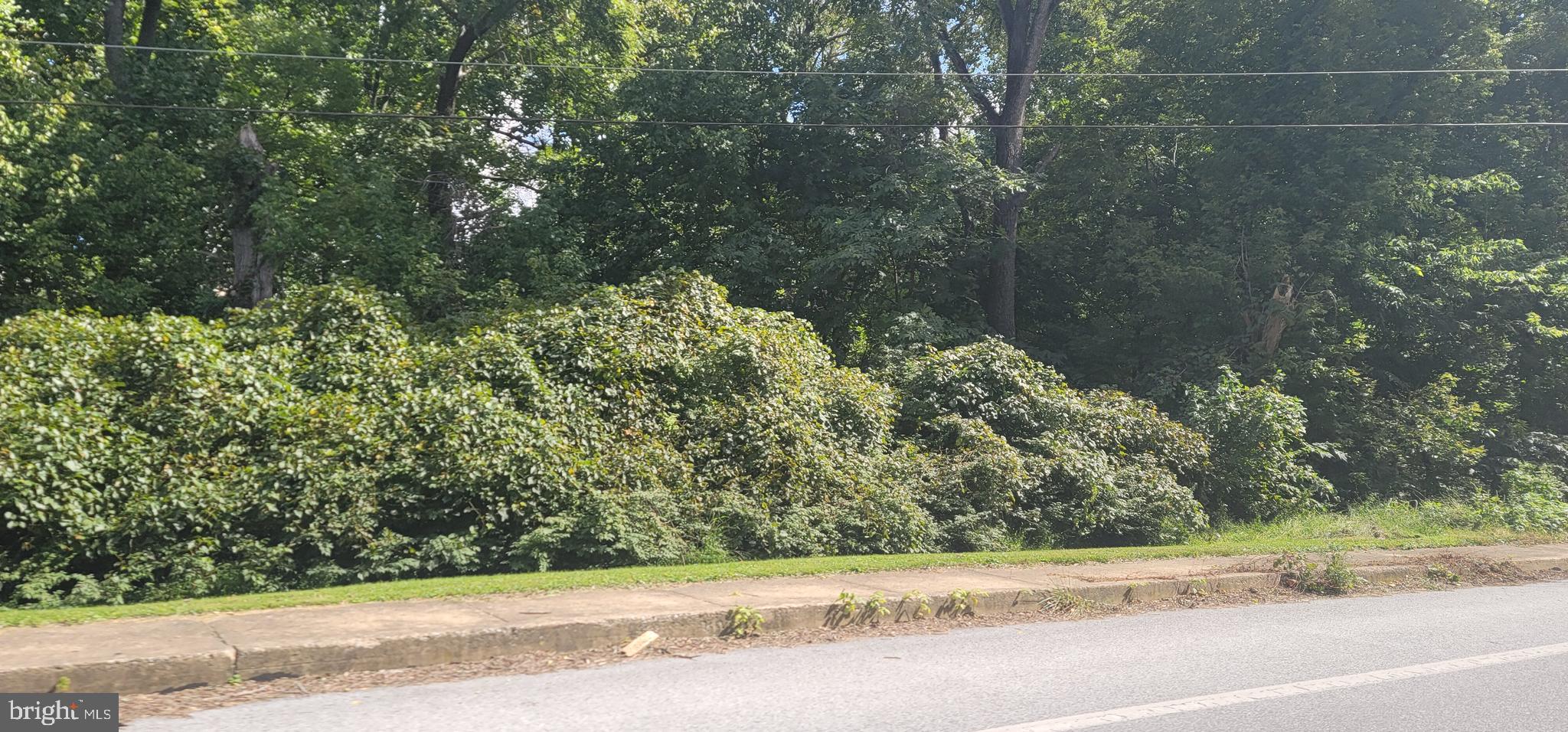 Rare opportunity for to purchase this any builder lot in Millersville Borough. Public utilities are available. Maturely wooded lot only minutes to downtown Millersville and walking distance to Crossgates Golf Course. 
Opportunity to purchase all 5 lots together. 31 & 32 S. Duke St. , 65, 66, 67 Slackwater Rd.