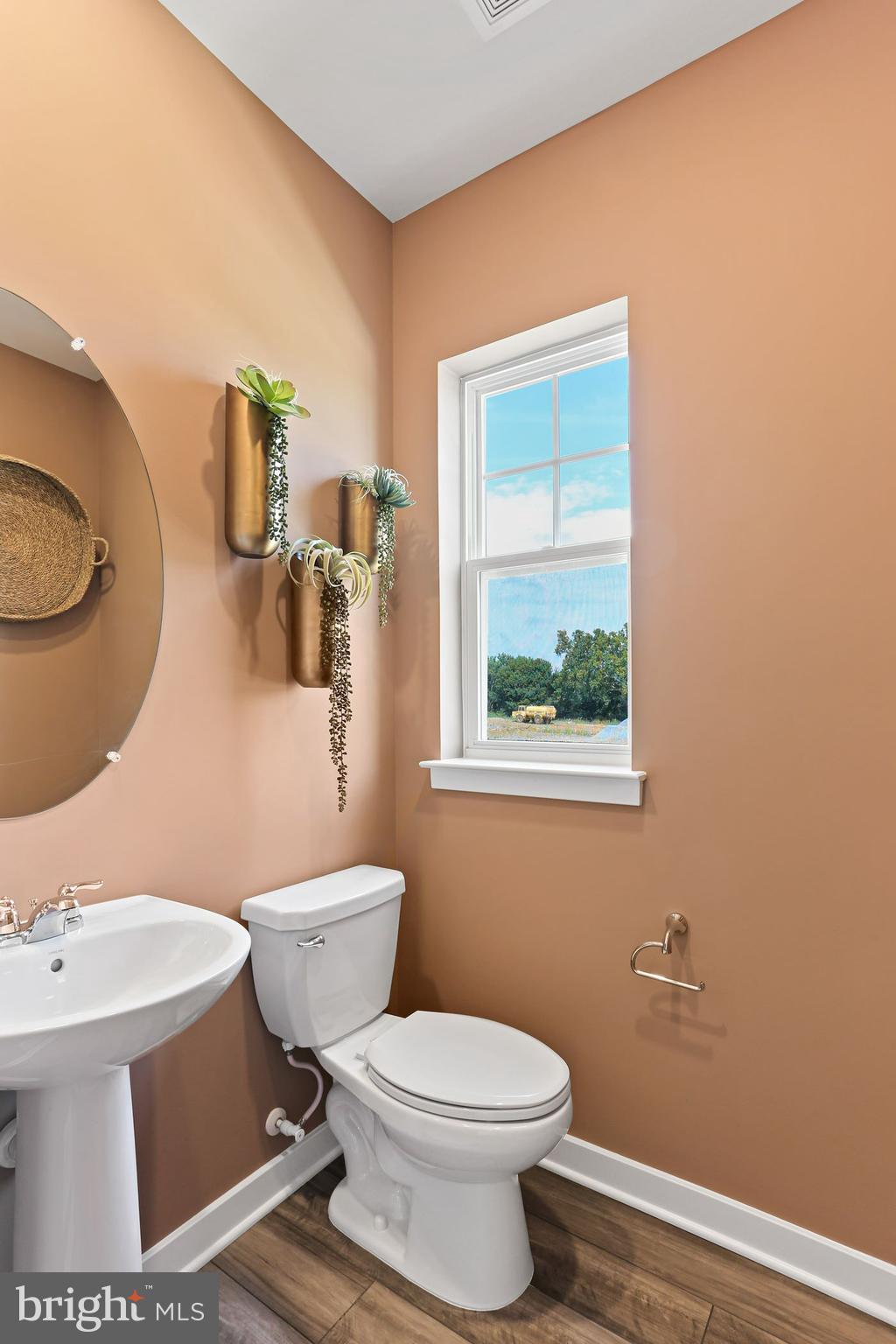 SHENANDOAH SPRINGS - Residential