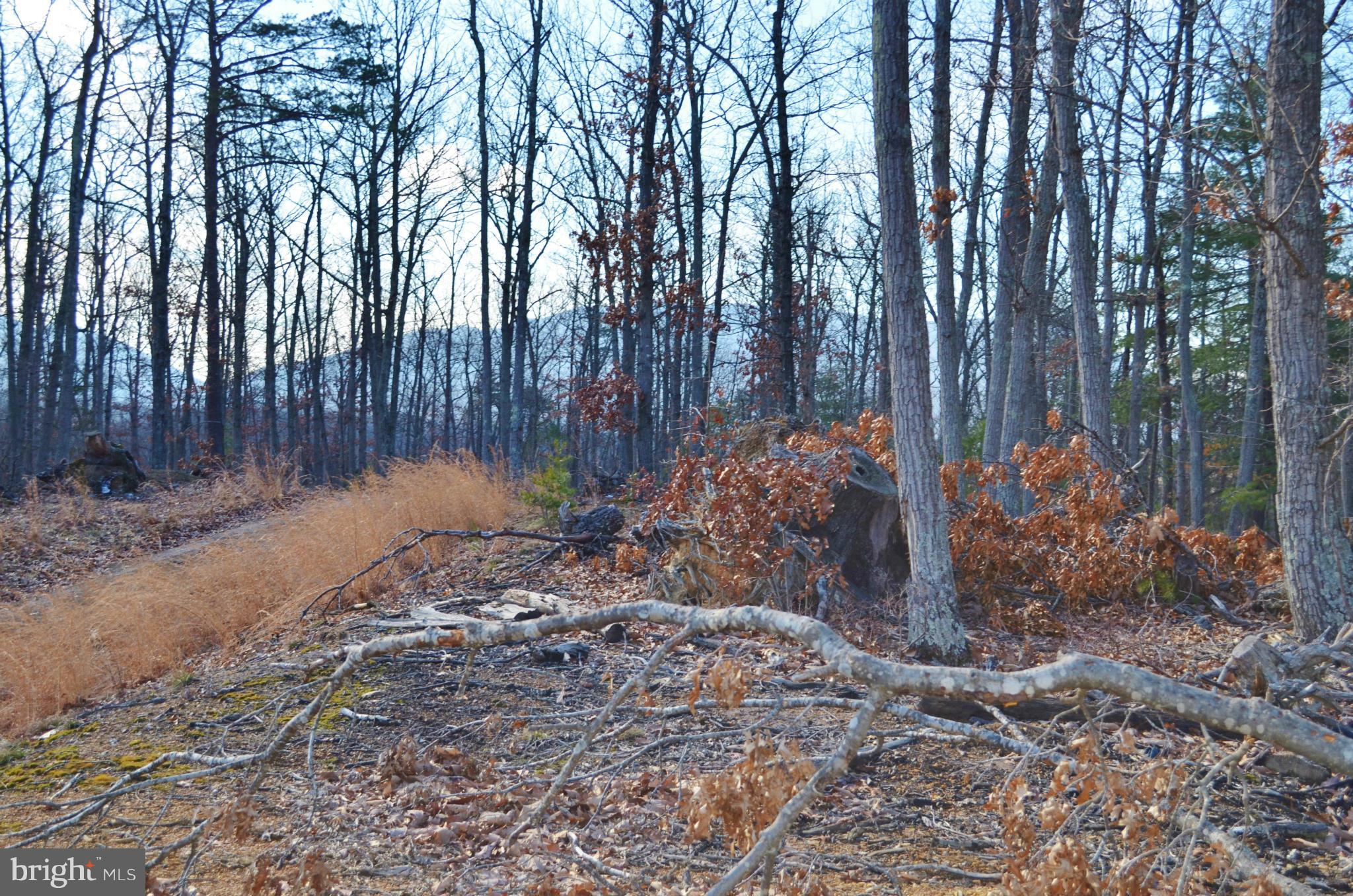 GAFIA ESTATES AT LAKE JOHN - Land