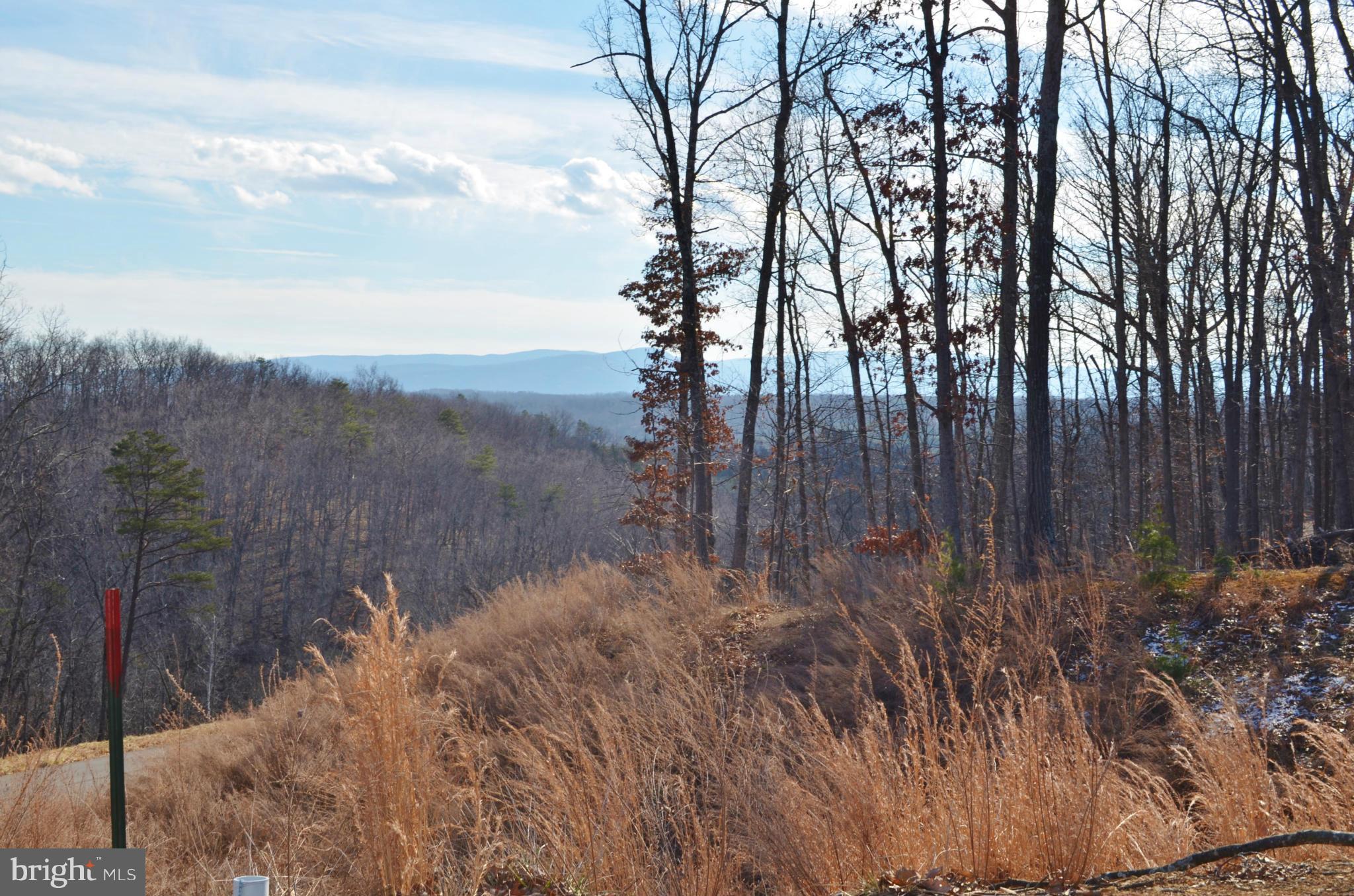 GAFIA ESTATES AT LAKE JOHN - Land