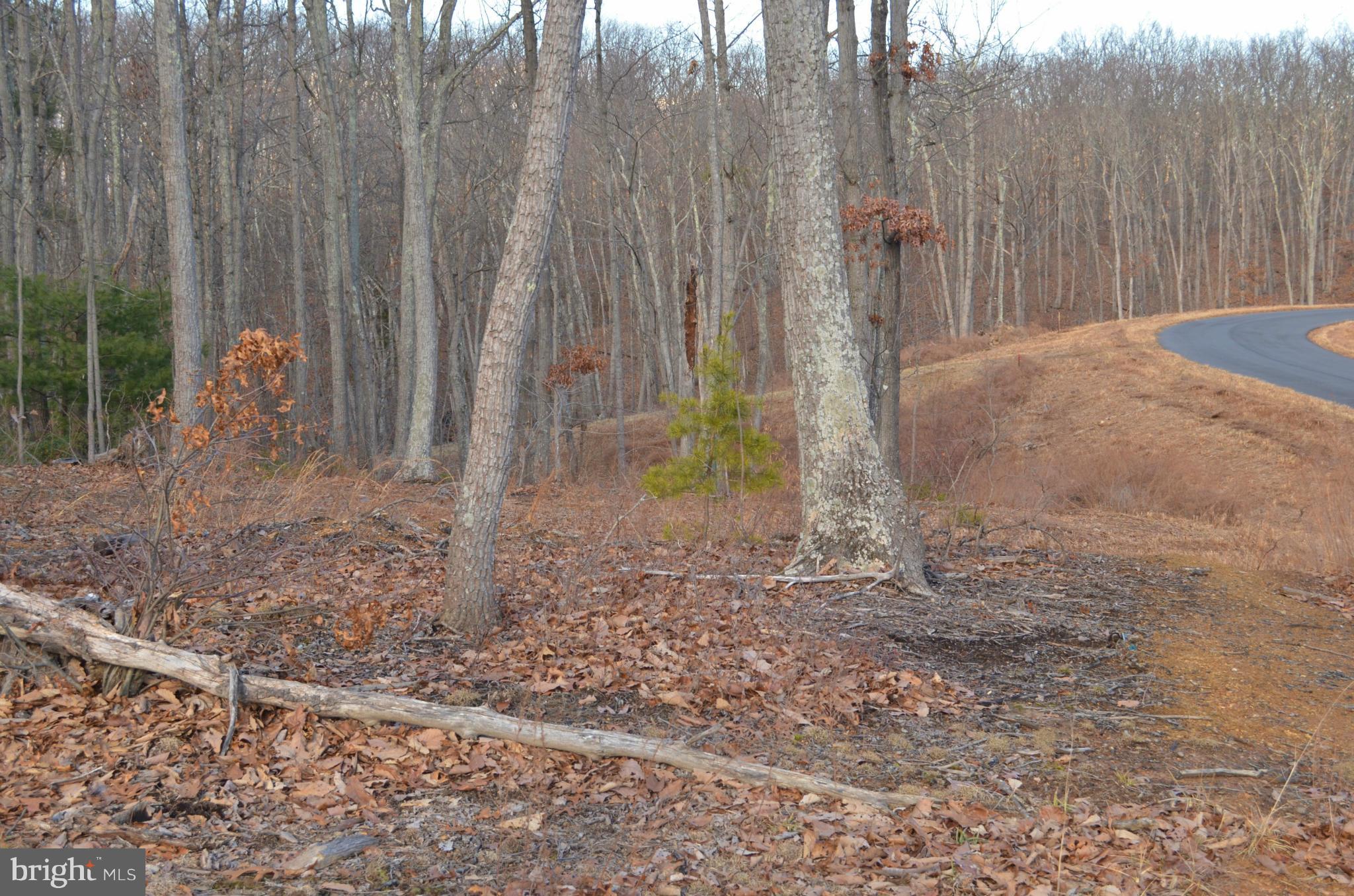 GAFIA ESTATES AT LAKE JOHN - Land