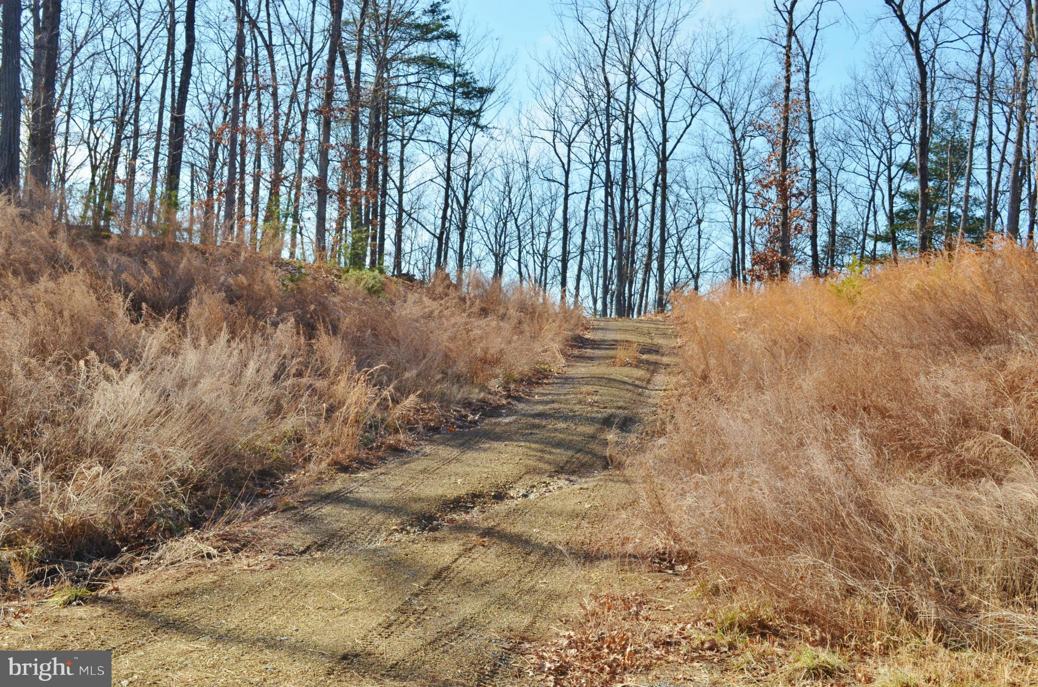 GAFIA ESTATES AT LAKE JOHN - Land