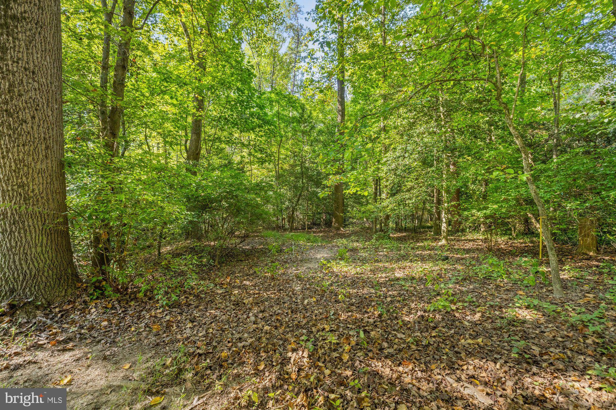 CEDAR RUN - Residential